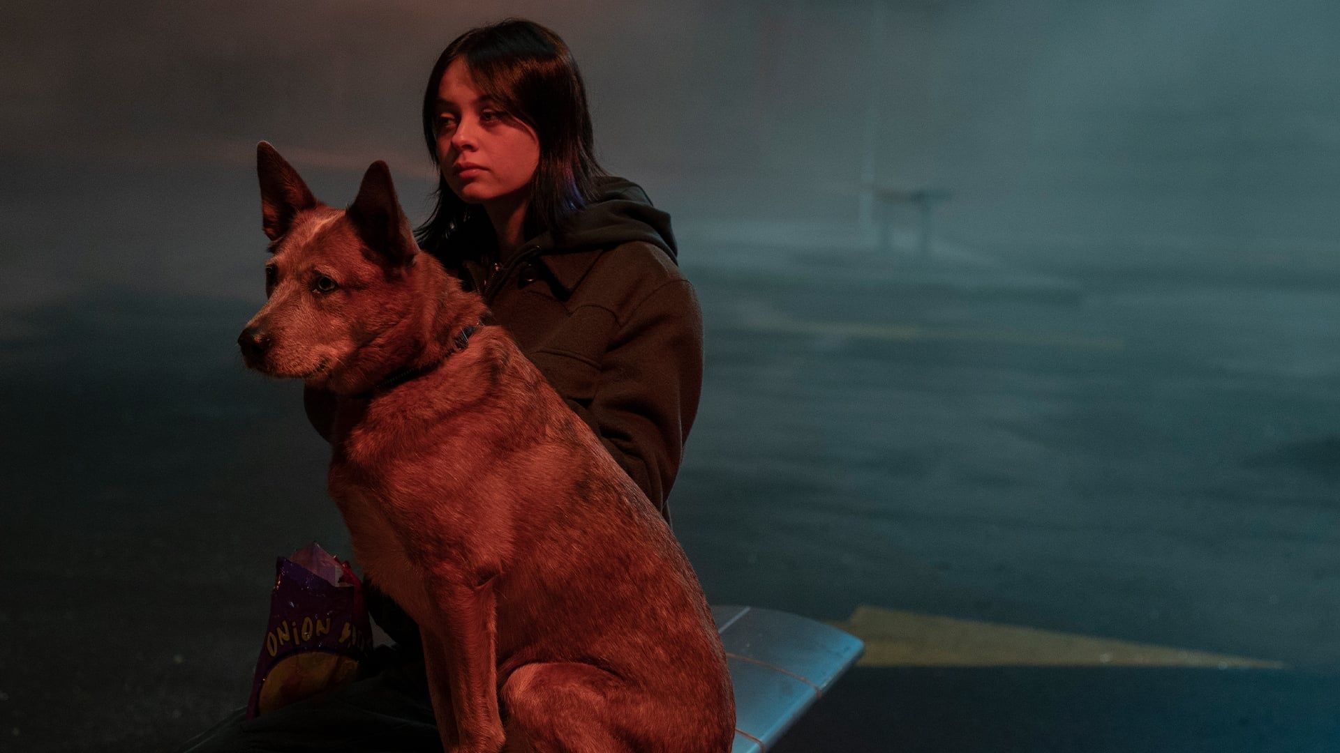 Orphan Black: Echoes background