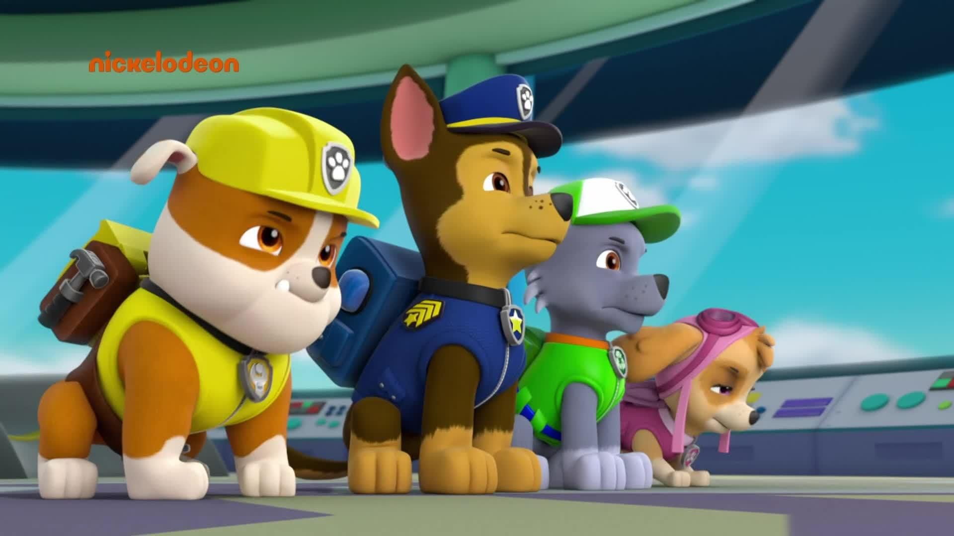 PAW Patrol background