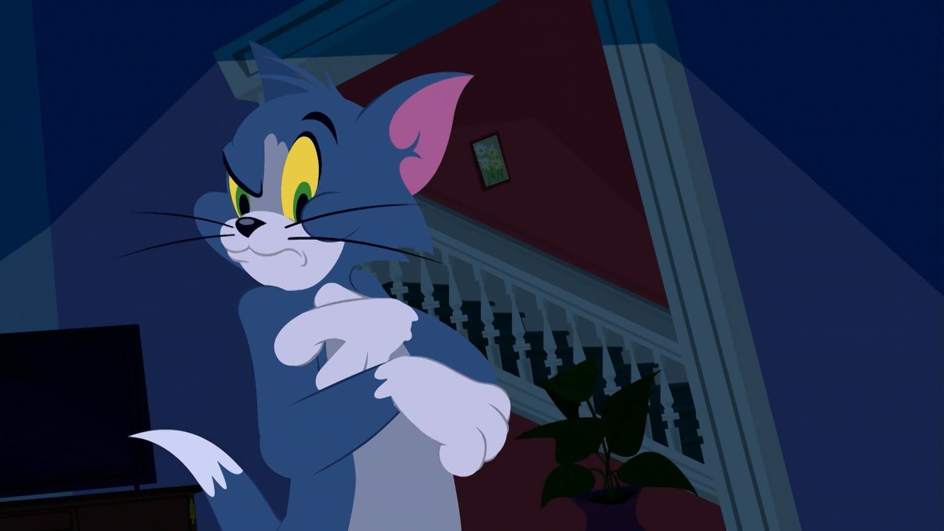 The Tom and Jerry Show background