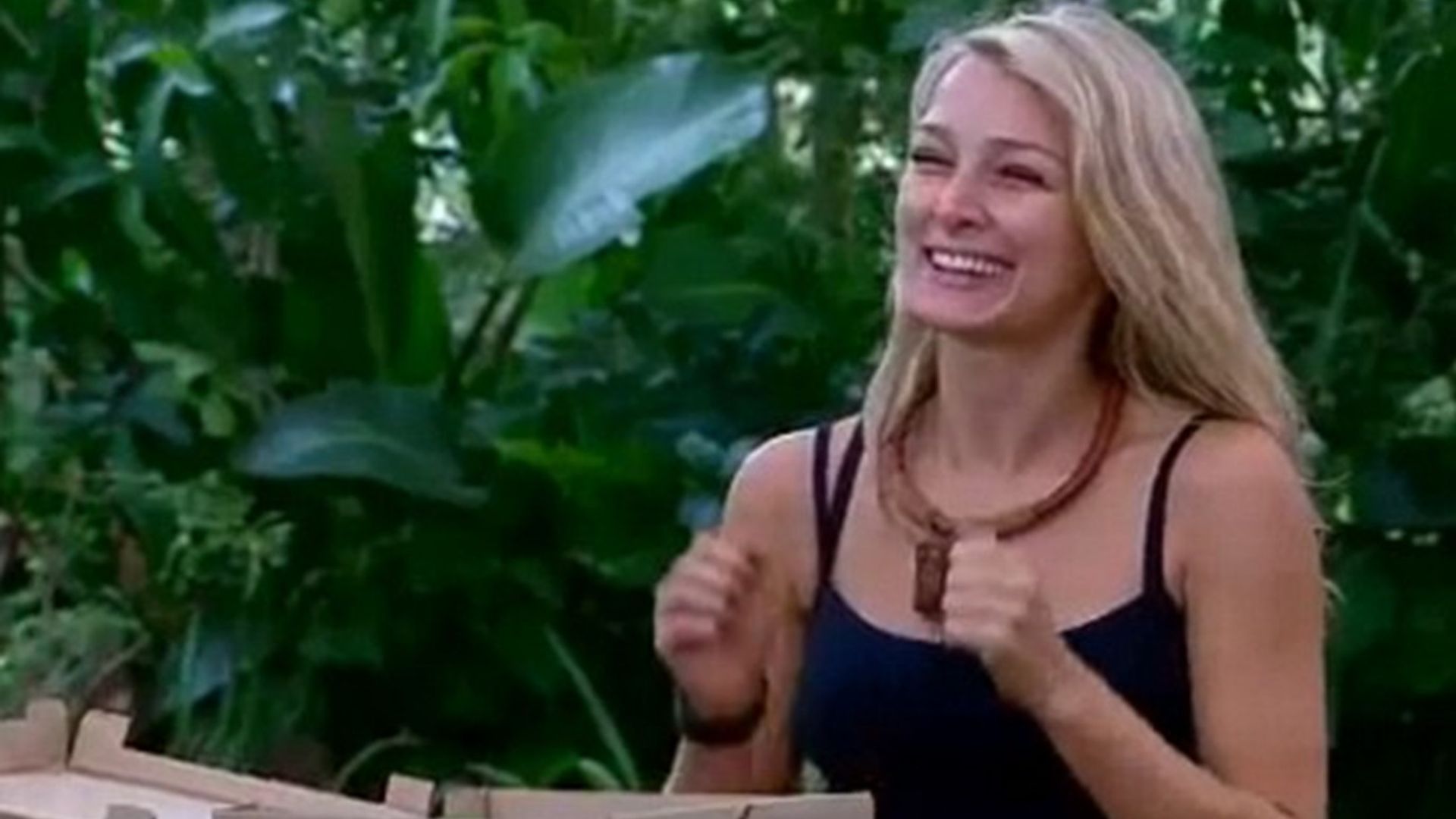 I'm a Celebrity, Get Me Out of Here! background