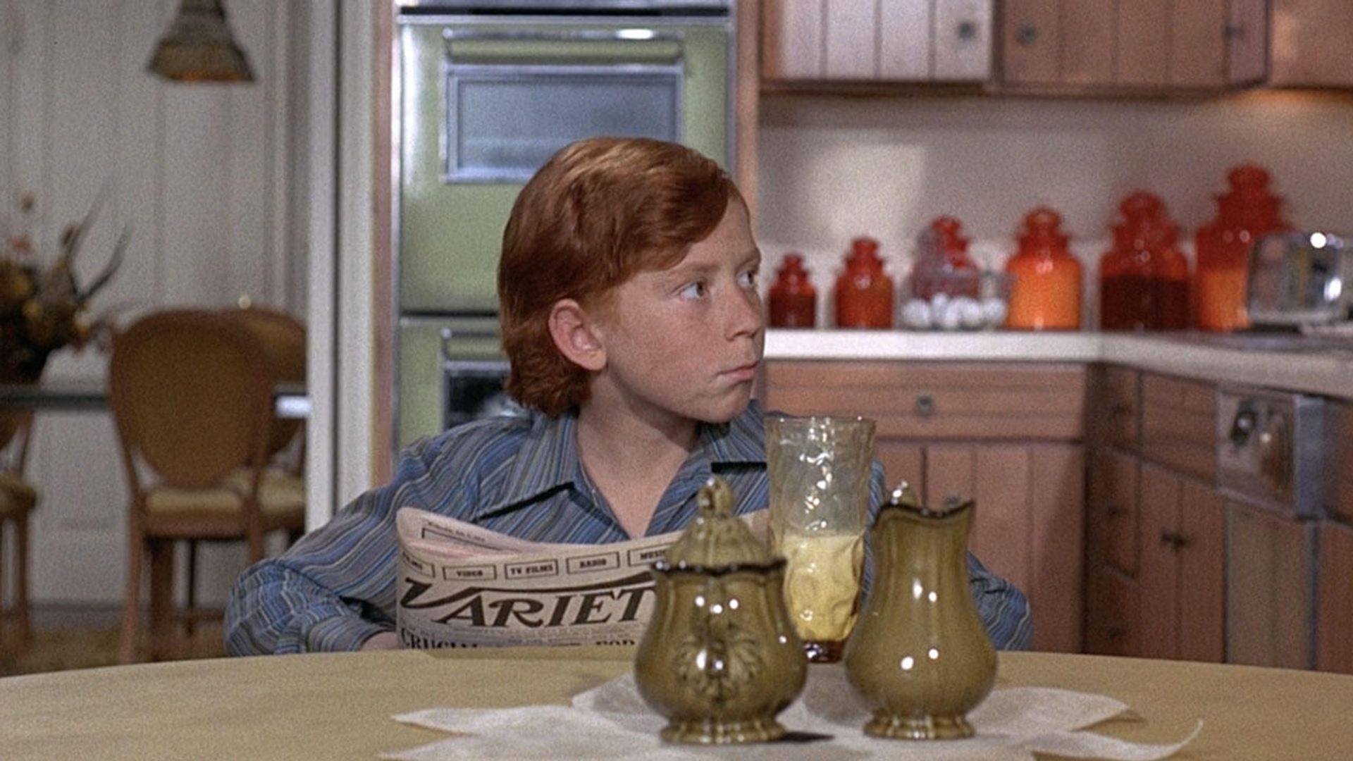 The Partridge Family background