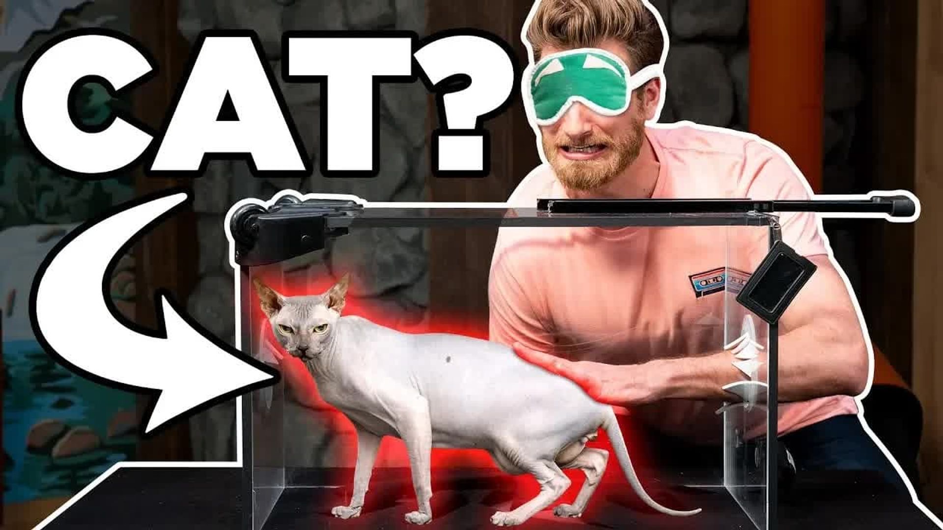 Good Mythical Morning background