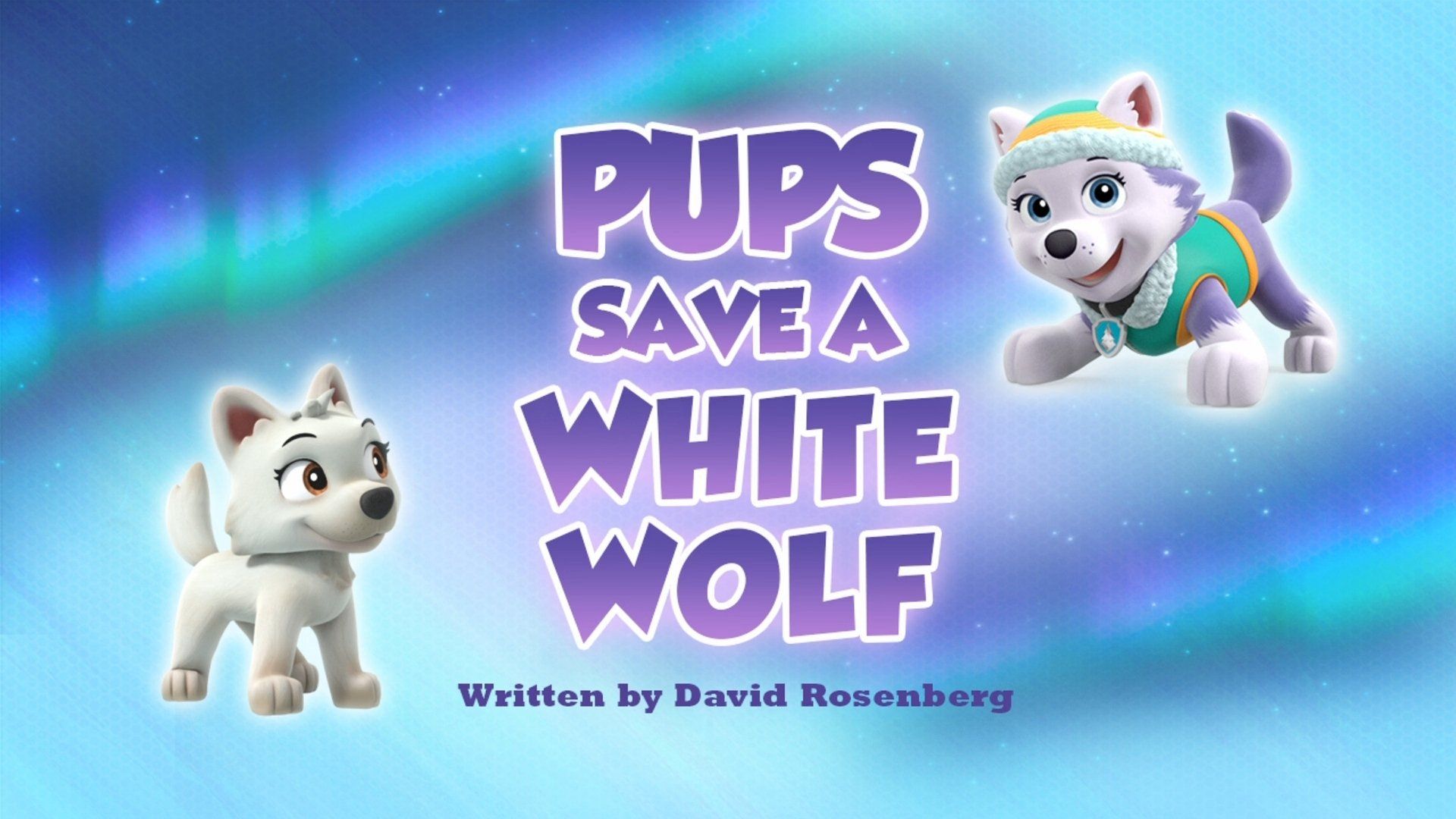 PAW Patrol background