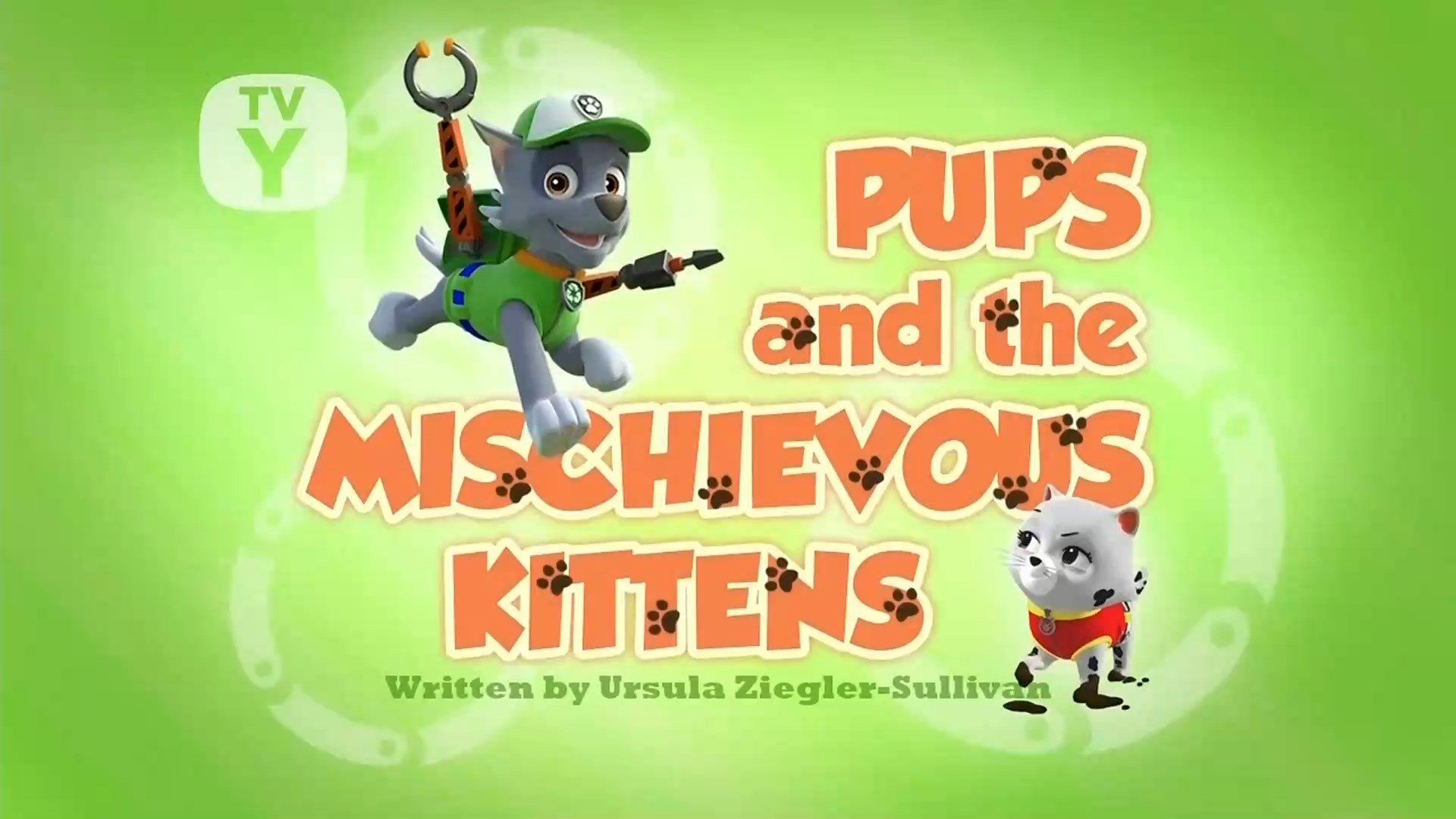 PAW Patrol background