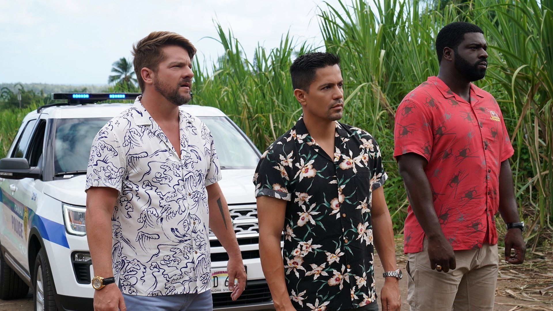 Magnum P.I. background