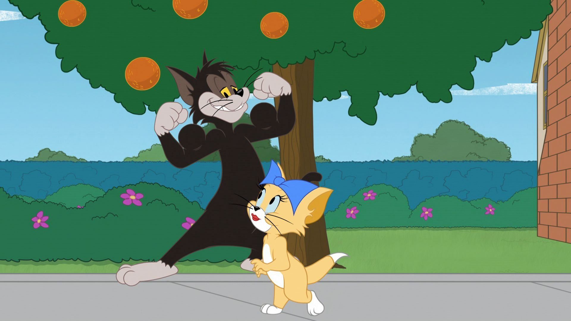 The Tom and Jerry Show background