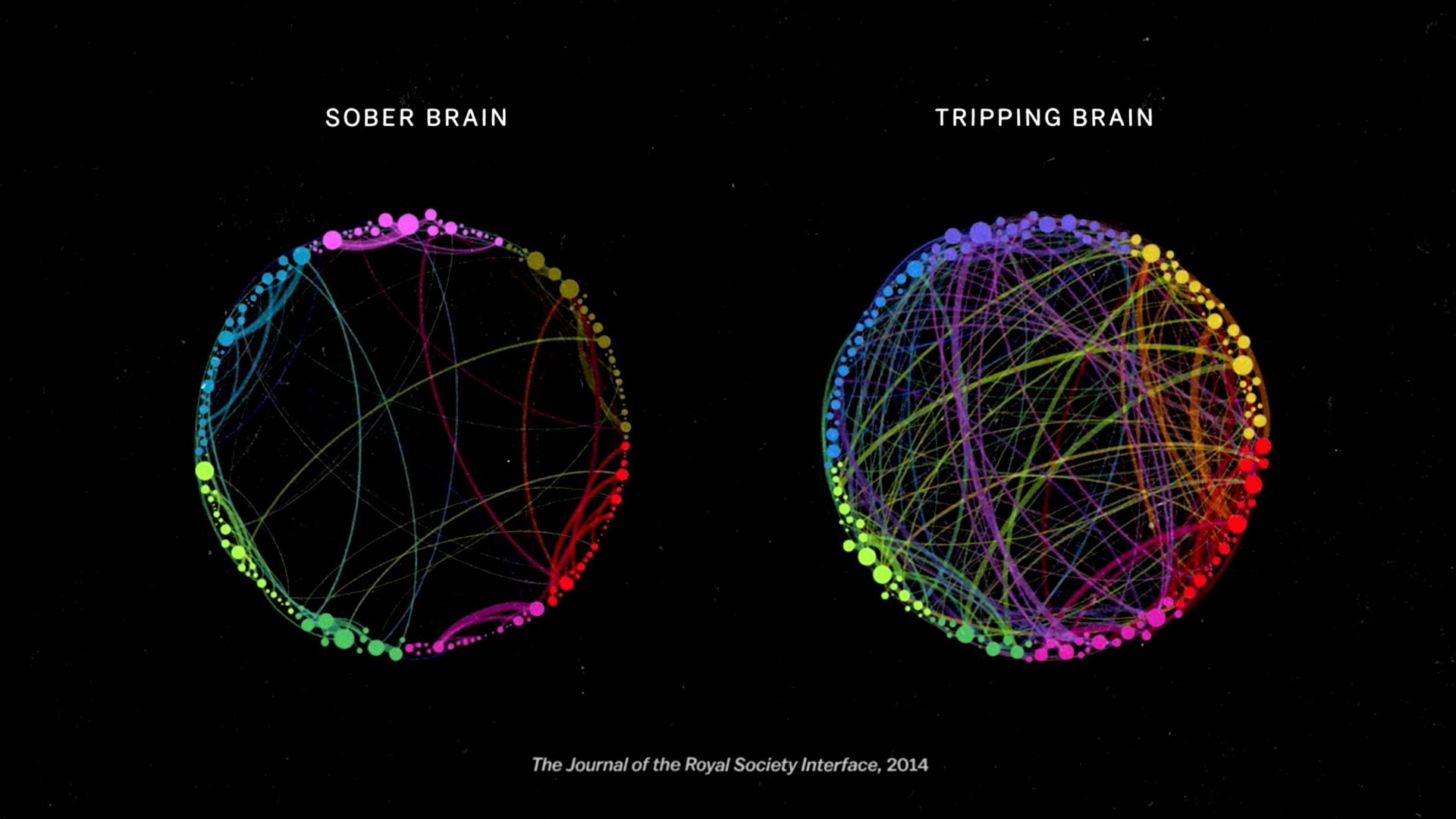 The Mind, Explained background
