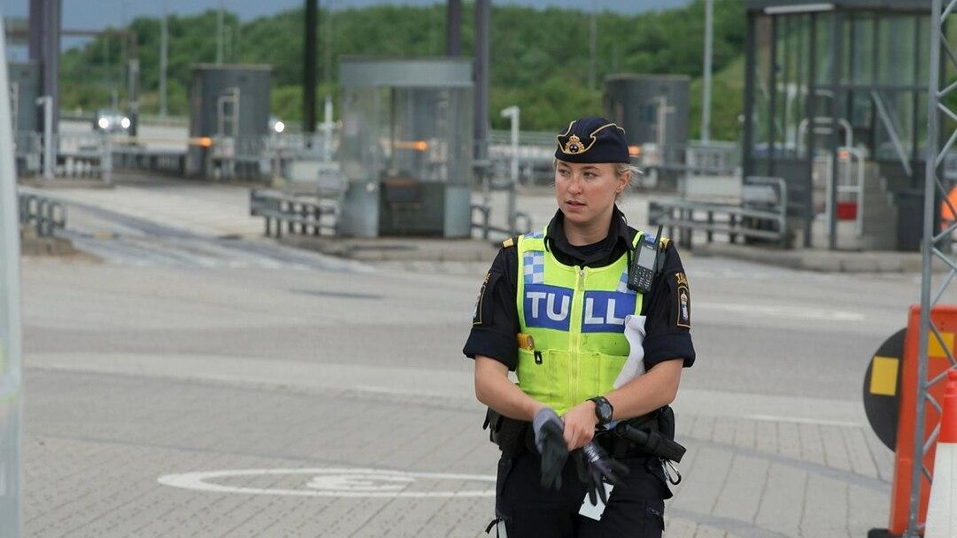 Border Control: Sweden background
