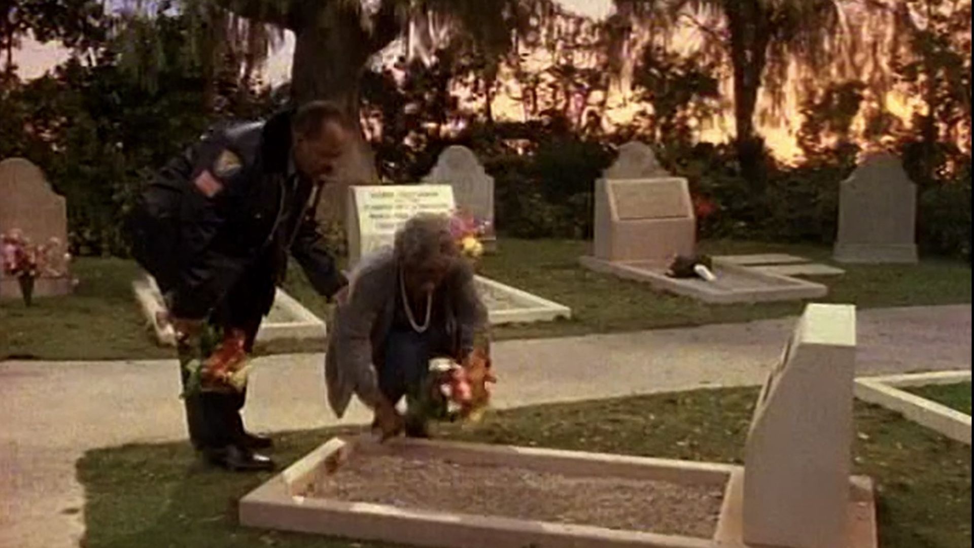 Family Matters background