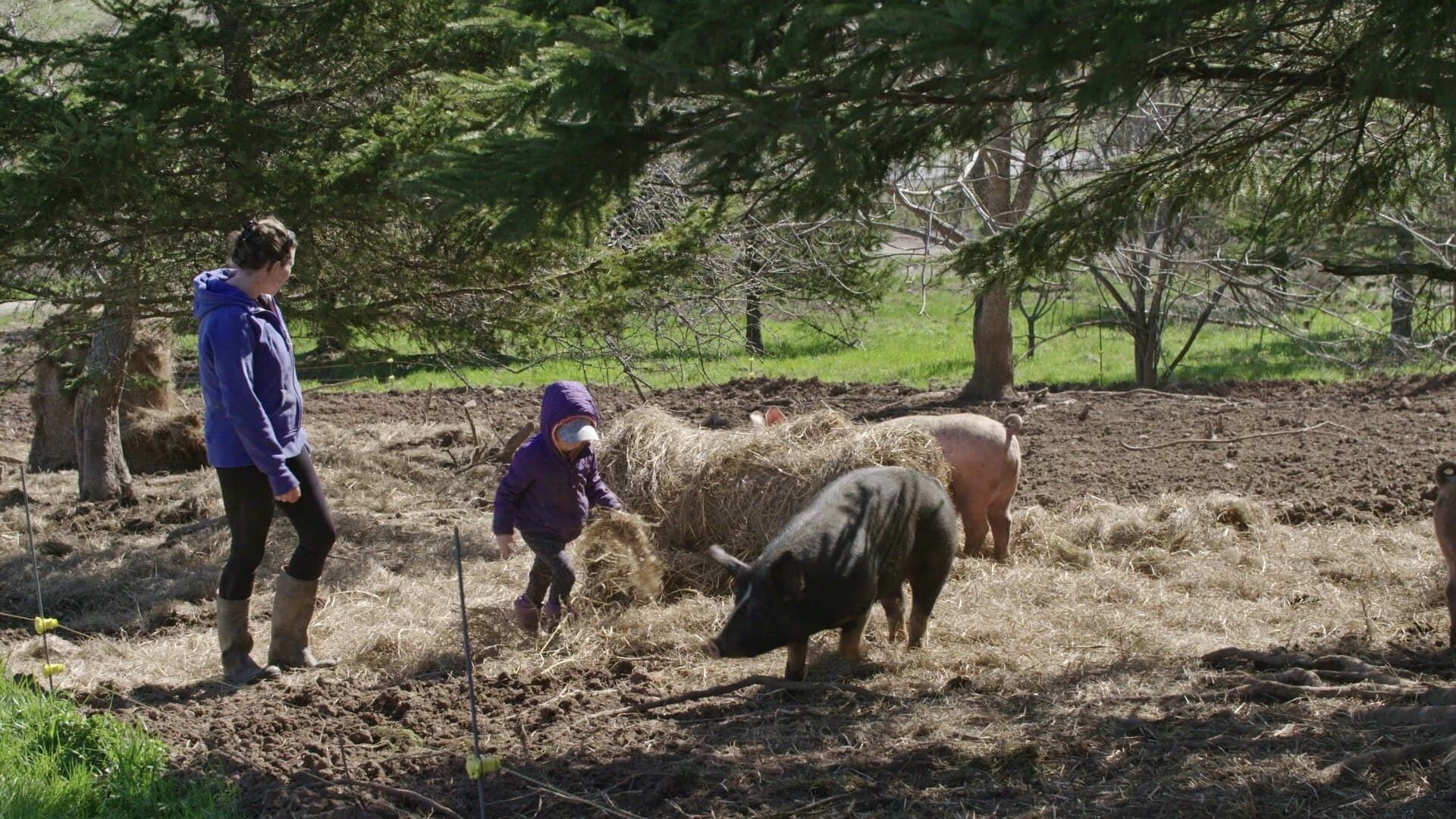 Farm Crime background