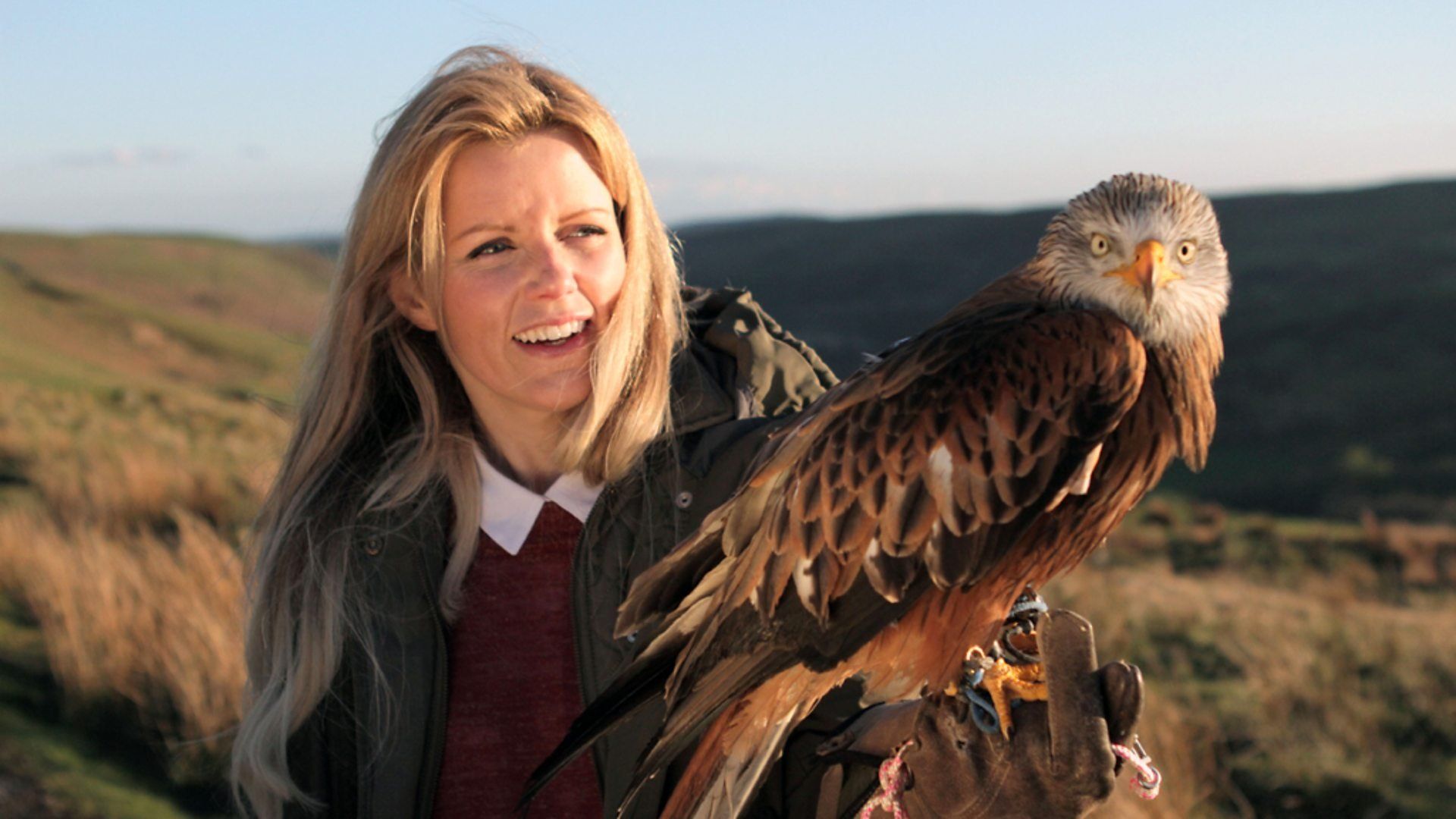 Britain's Big Wildlife Revival background