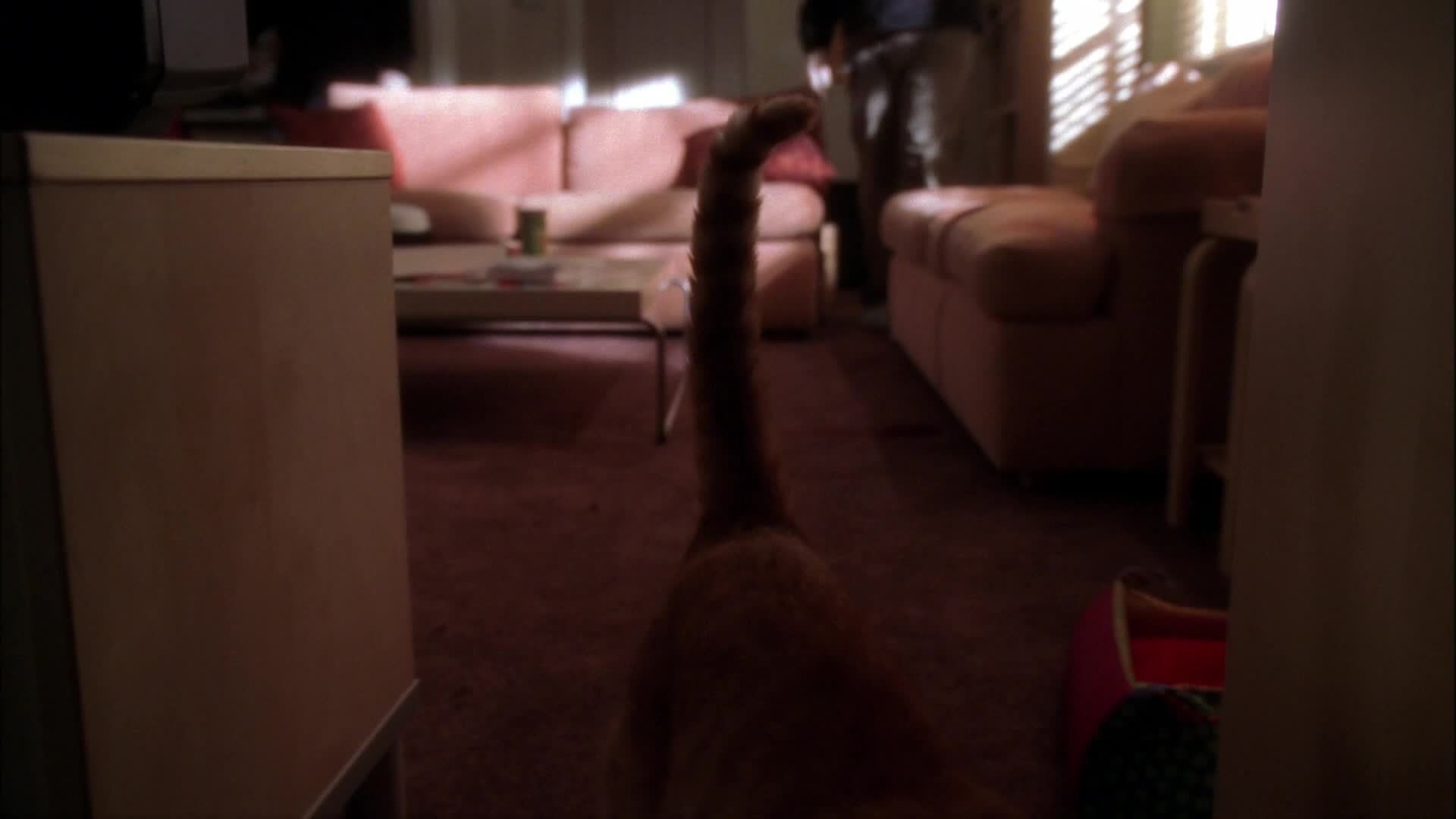 NCIS background