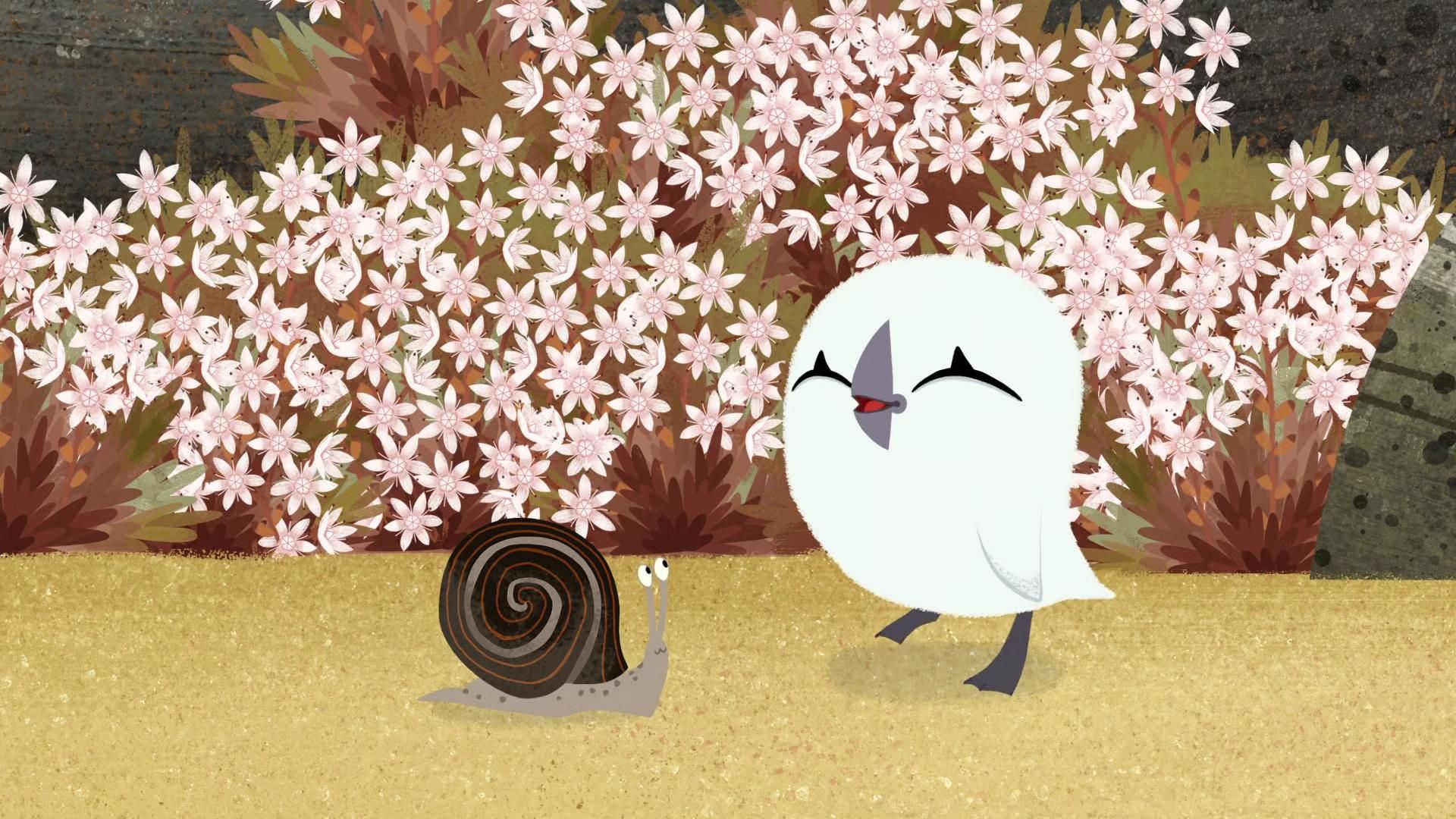 Puffin Rock background