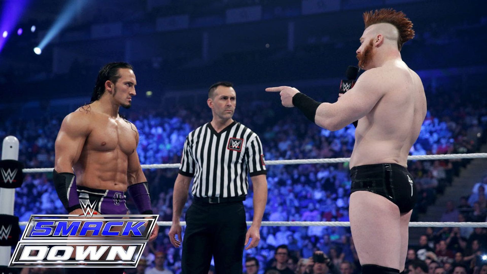 World Wrestling Federation Smackdown! background