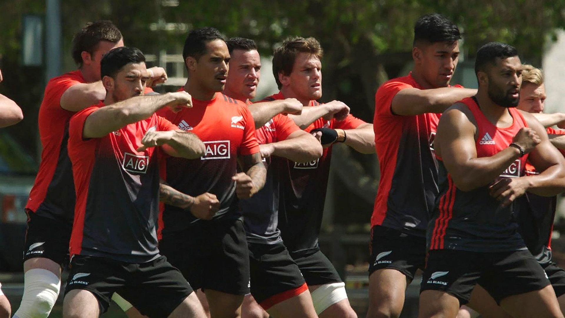 All or Nothing: New Zealand All Blacks background