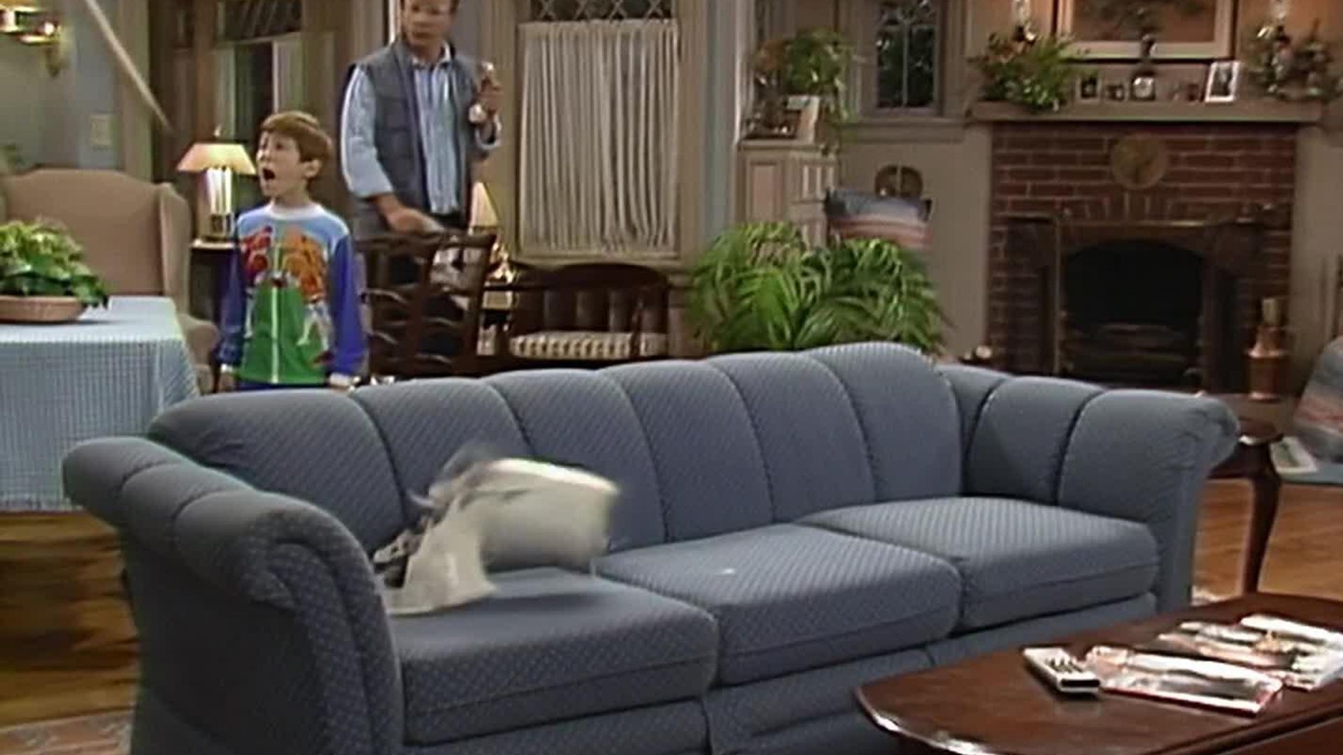 ALF background