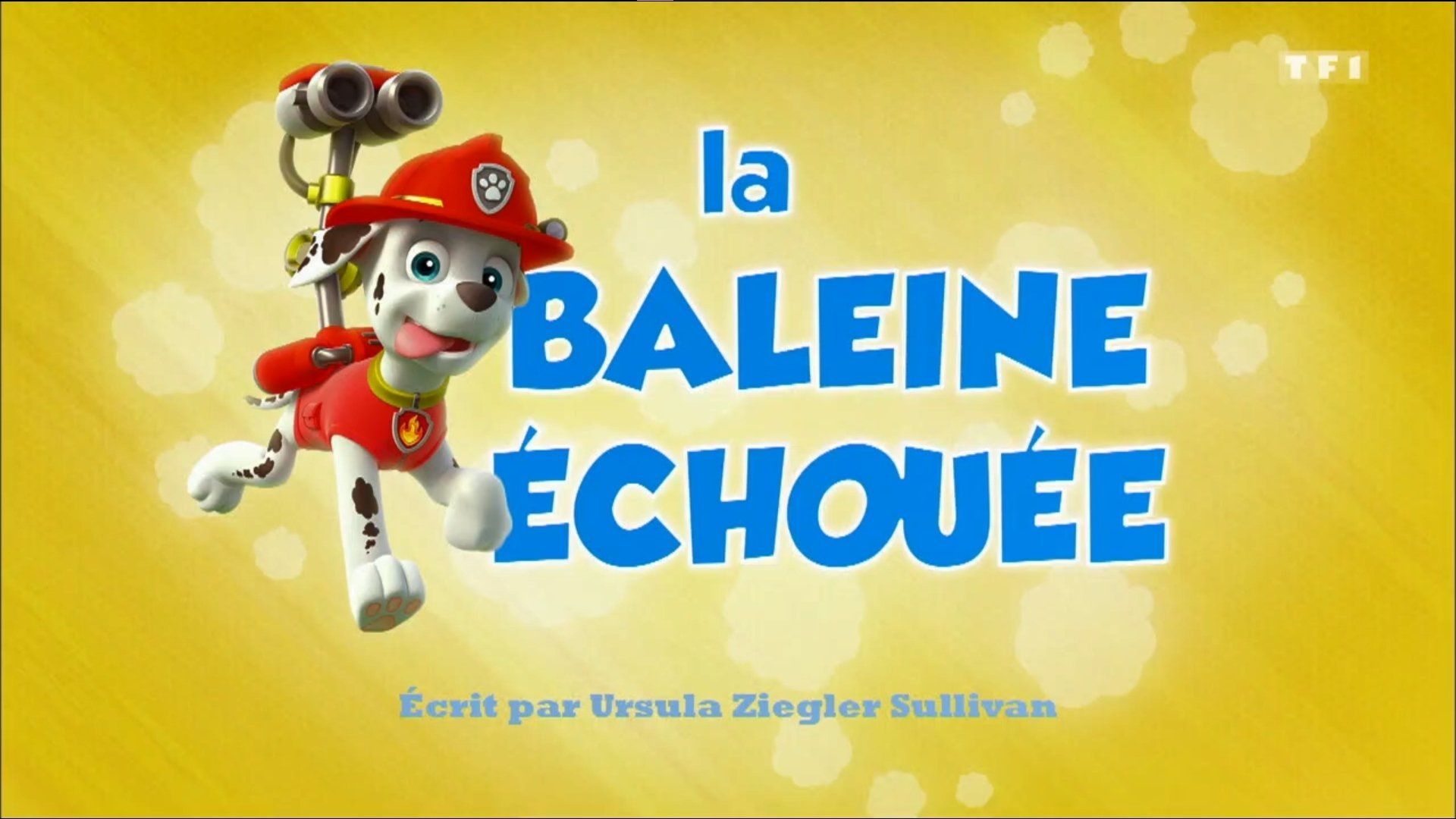PAW Patrol background