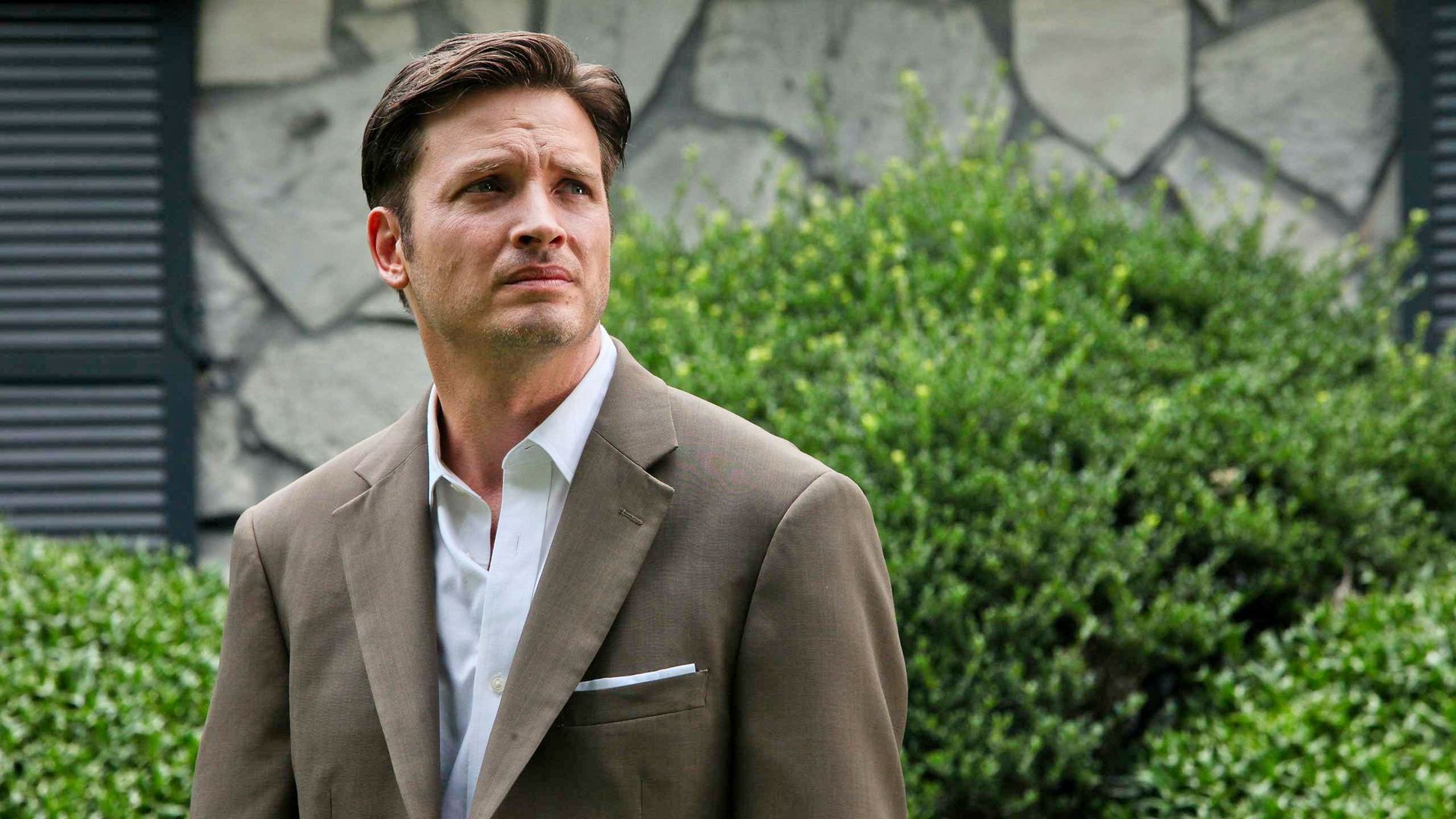 Rectify background