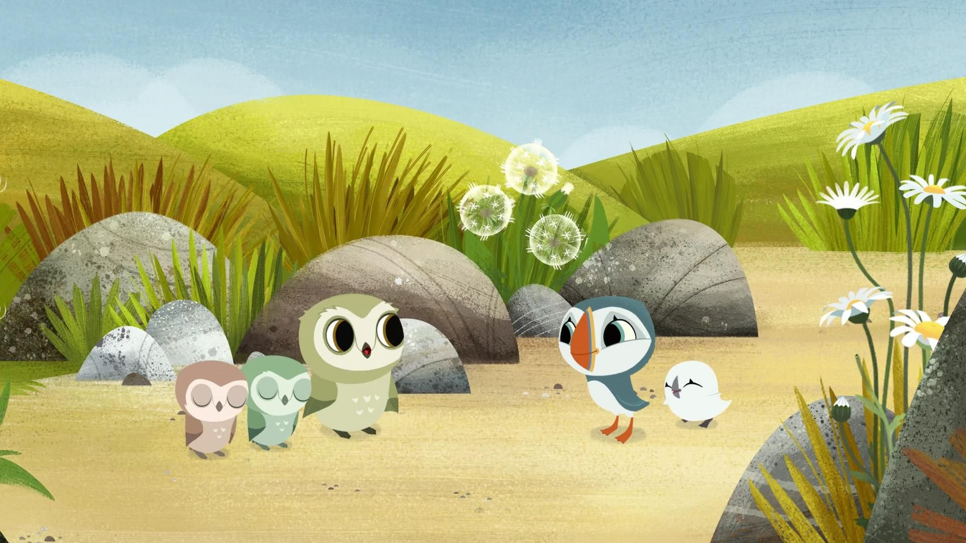 Puffin Rock background
