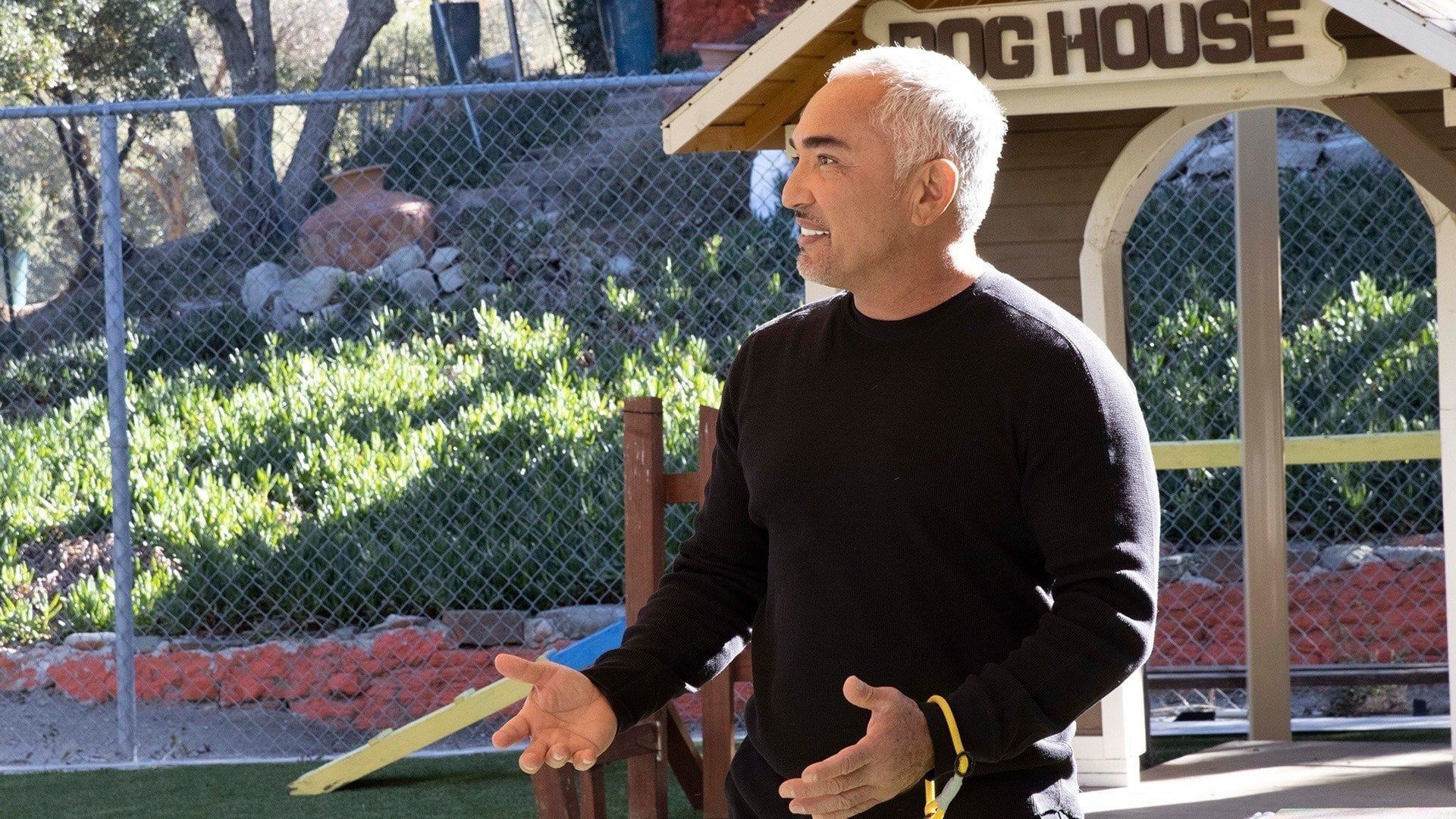 Cesar Millan: Better Human Better Dog background