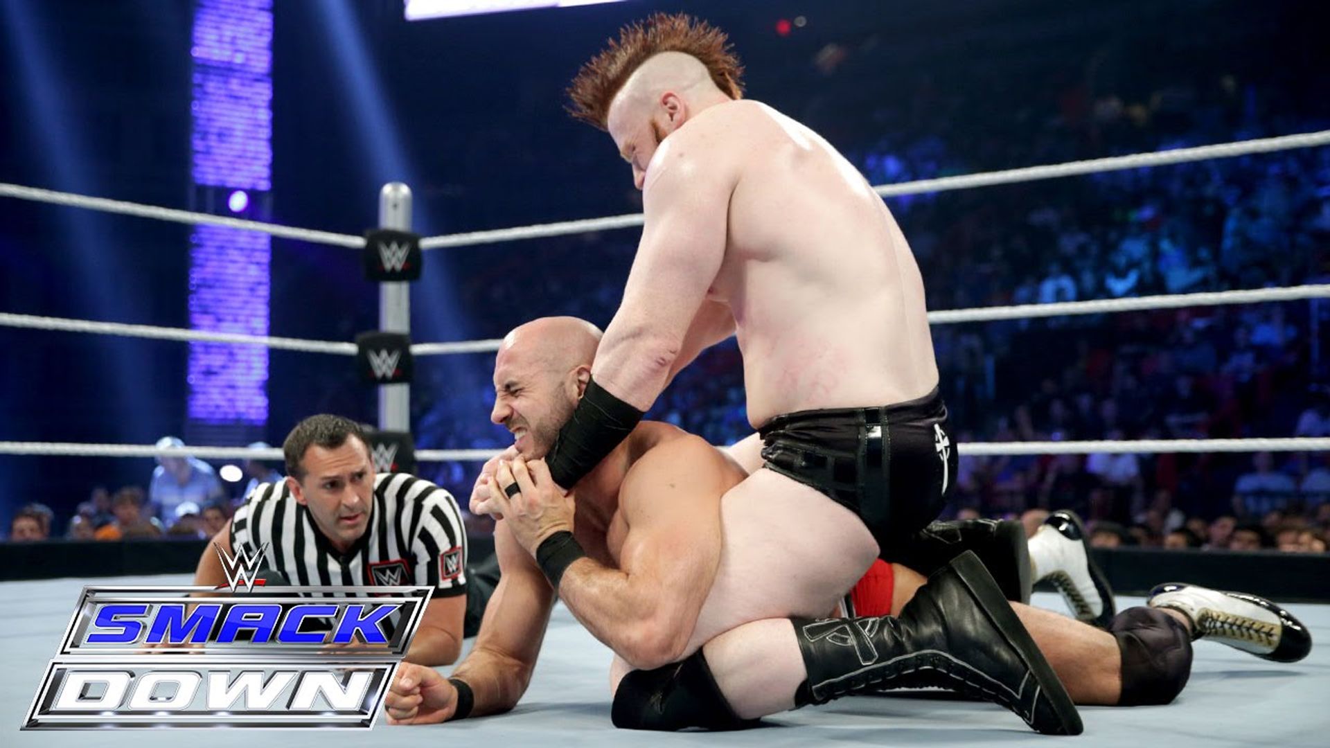 World Wrestling Federation Smackdown! background