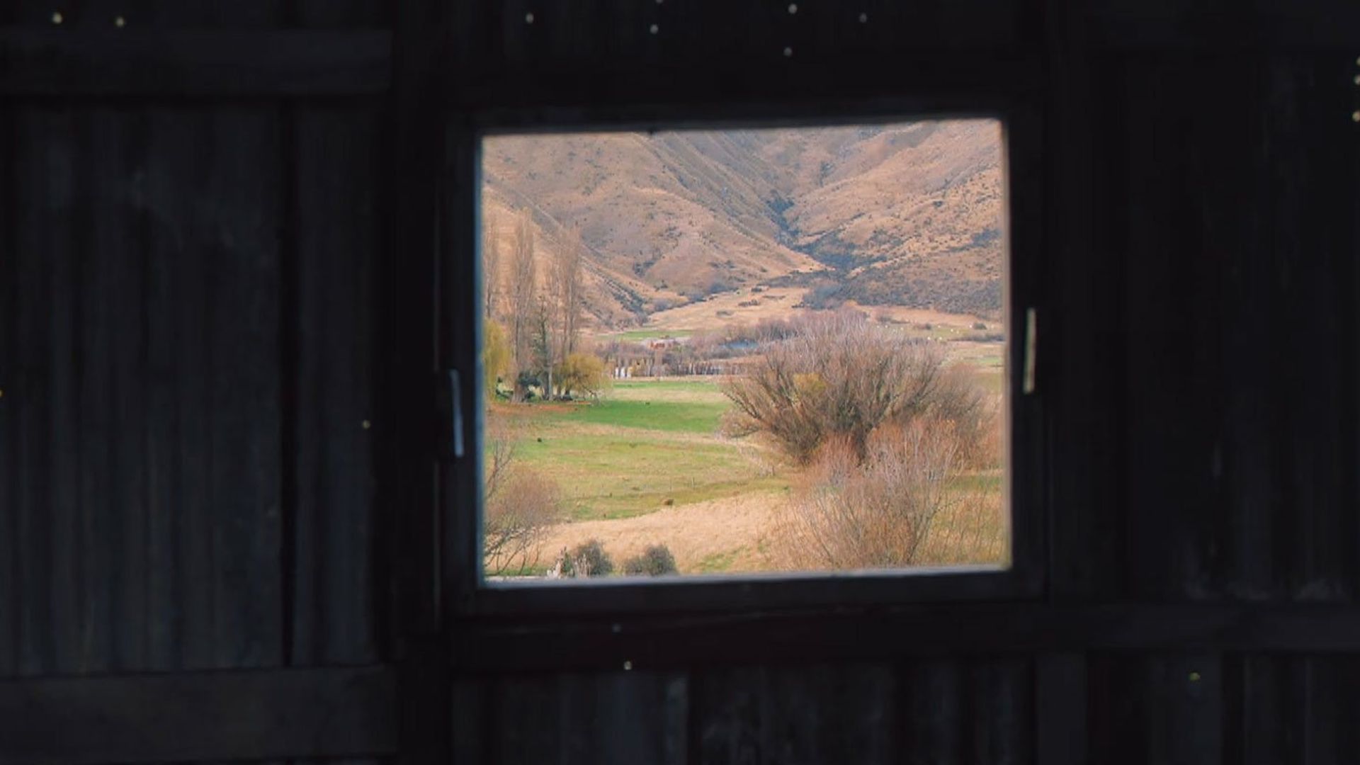 Nadia's Farm background
