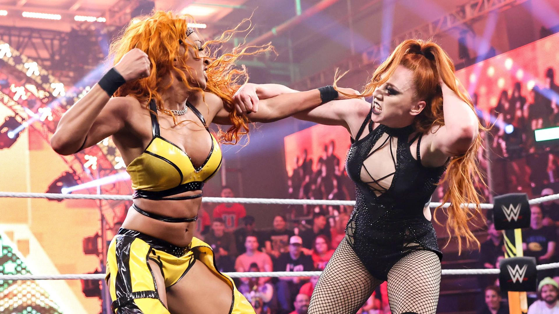 WWE NXT: Level Up background
