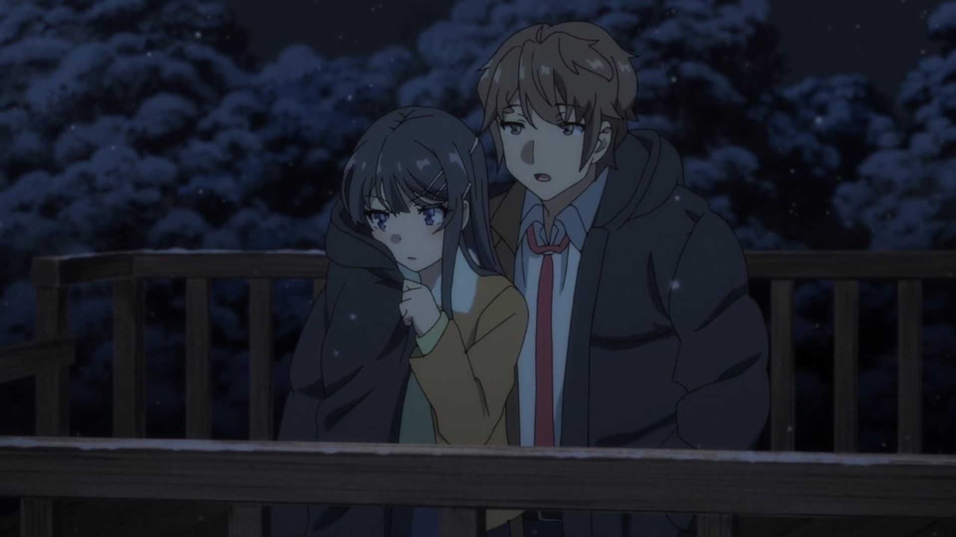 Rascal Does Not Dream of Bunny Girl Senpai background