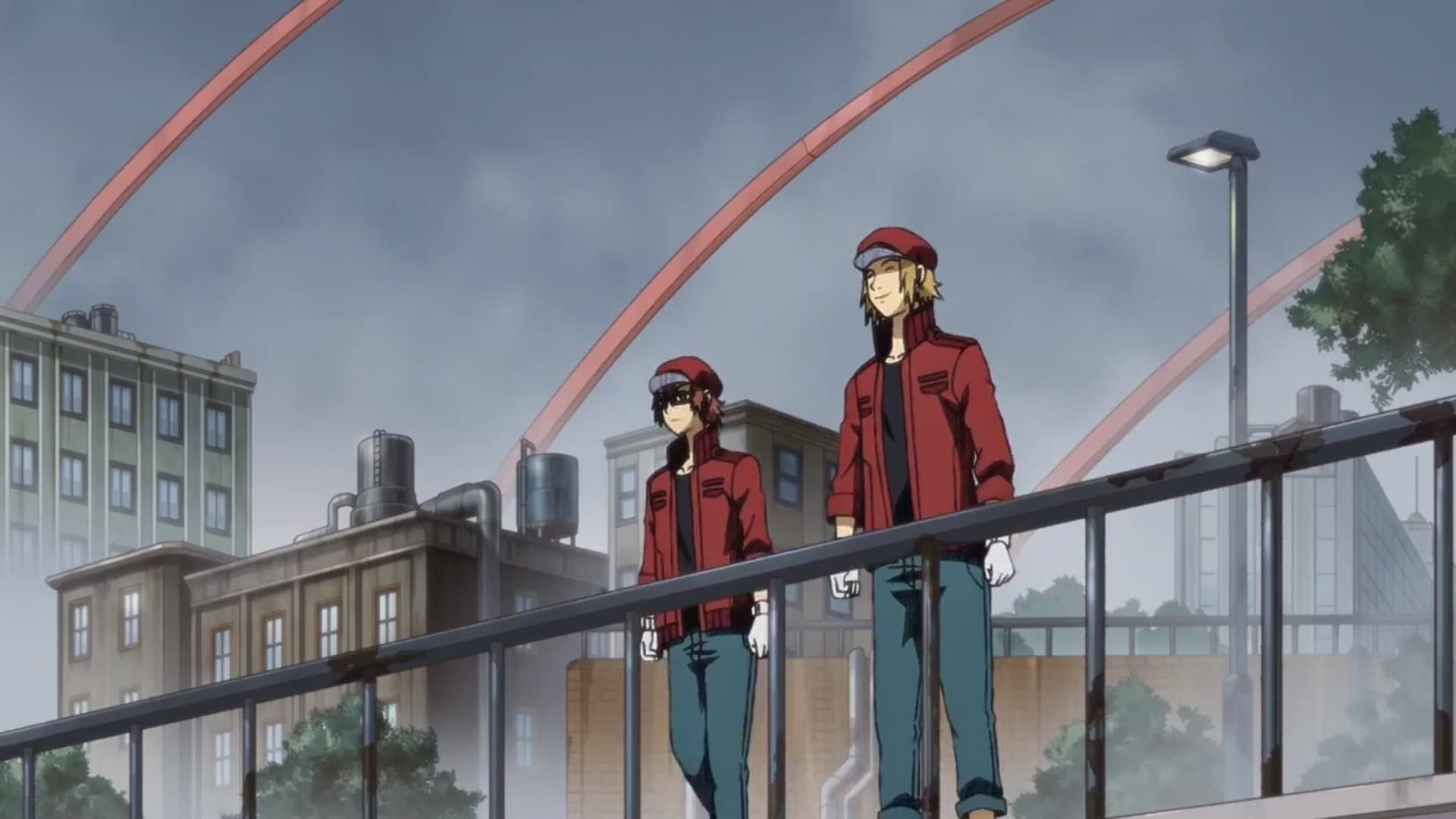 Cells at Work! Code Black background