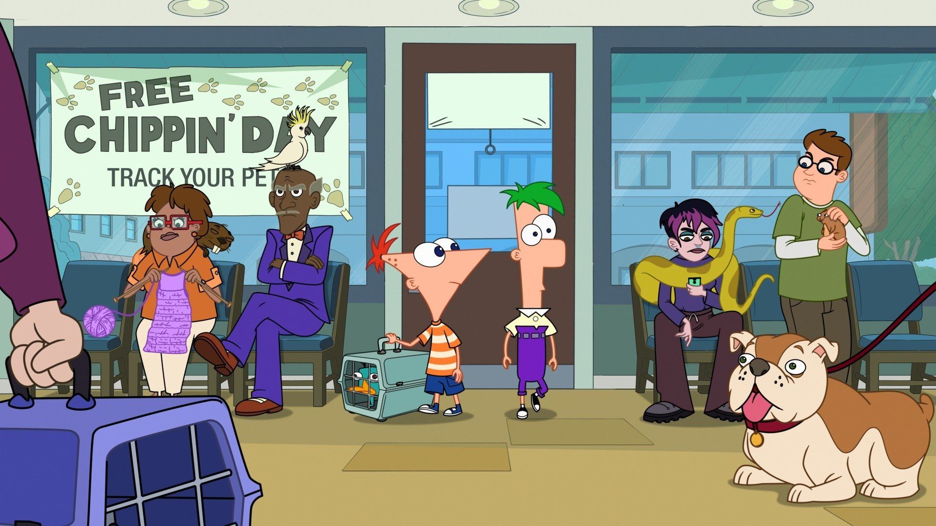 Phineas and Ferb background