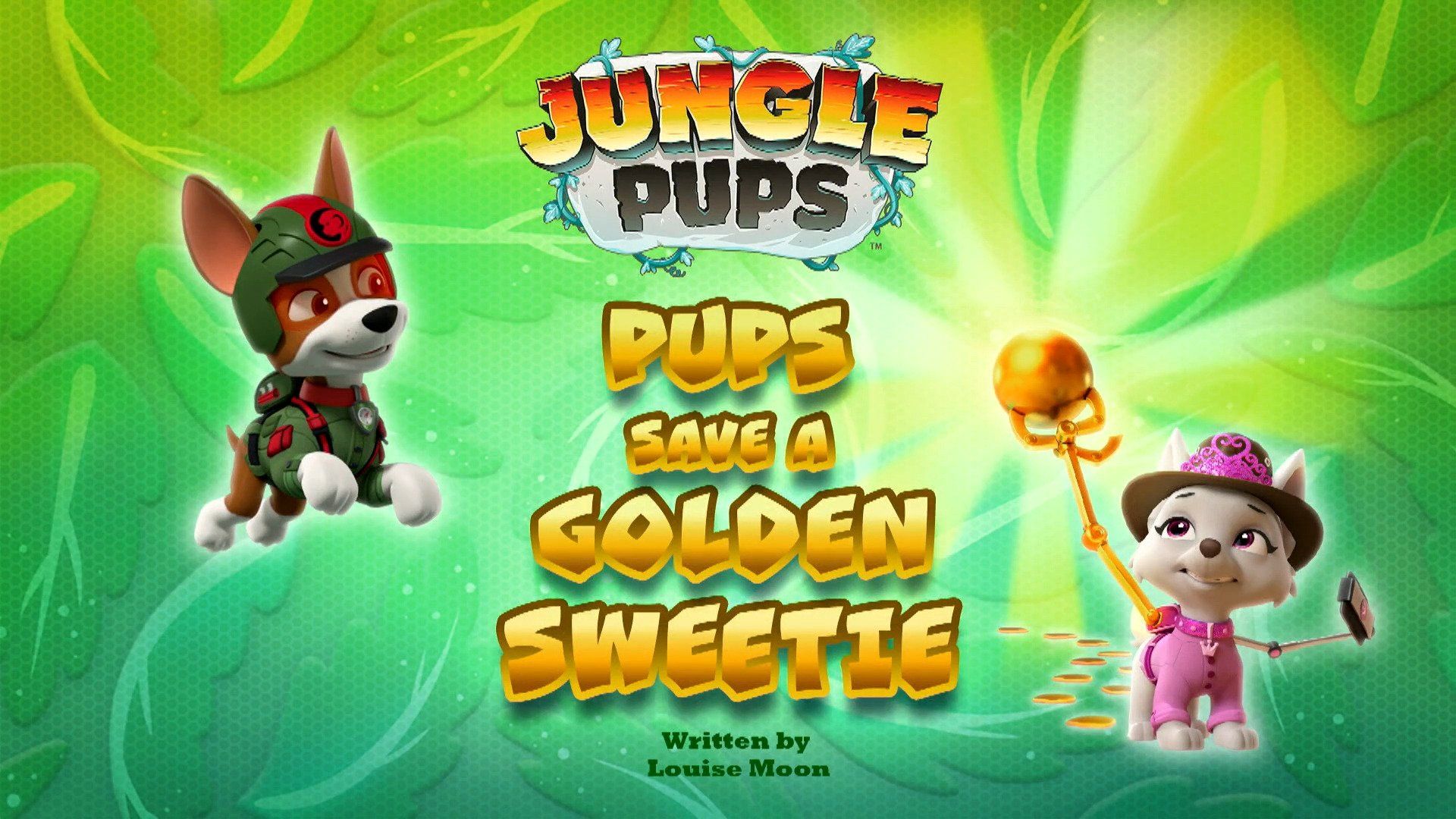 PAW Patrol background