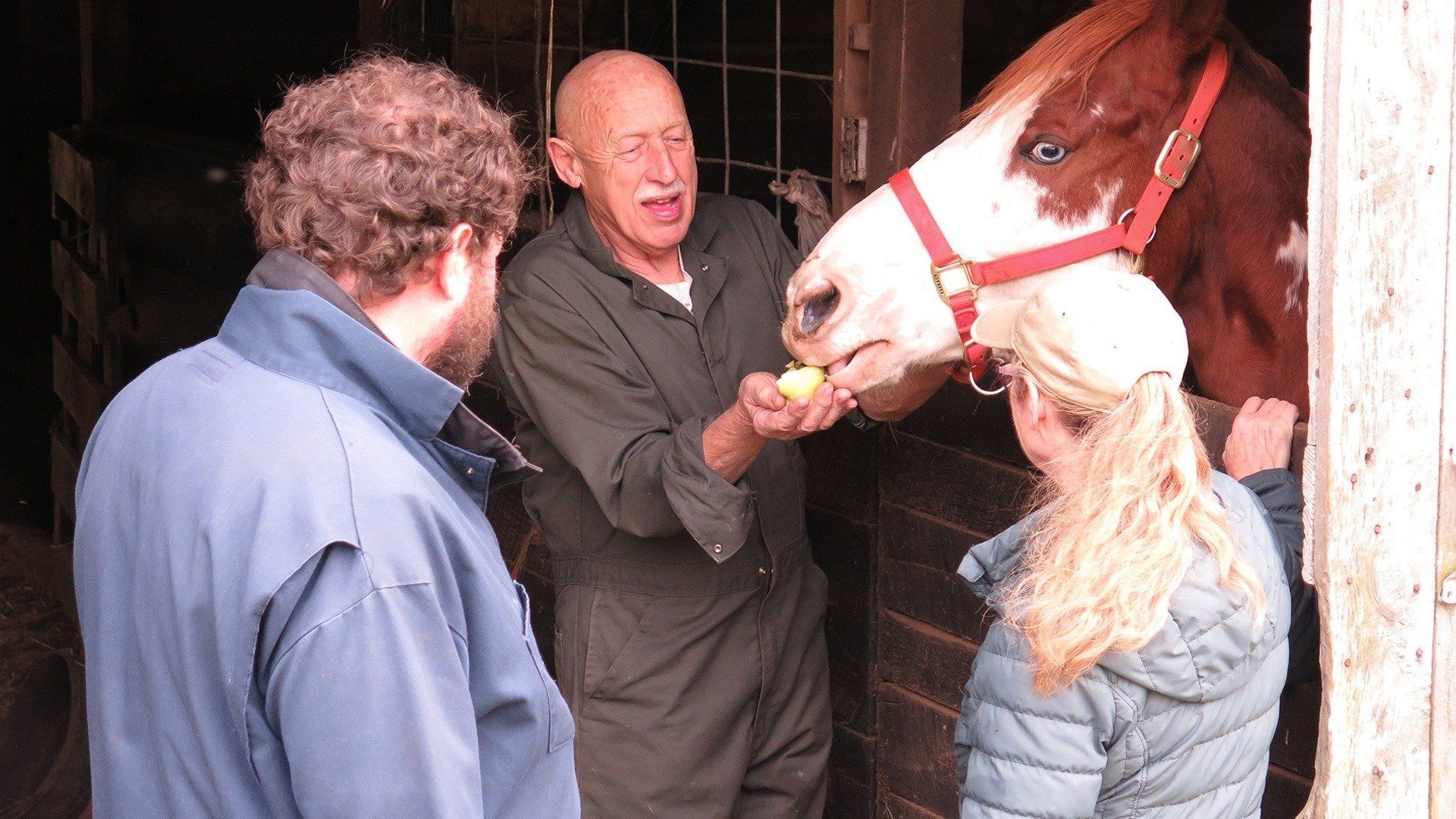 The Incredible Dr. Pol background