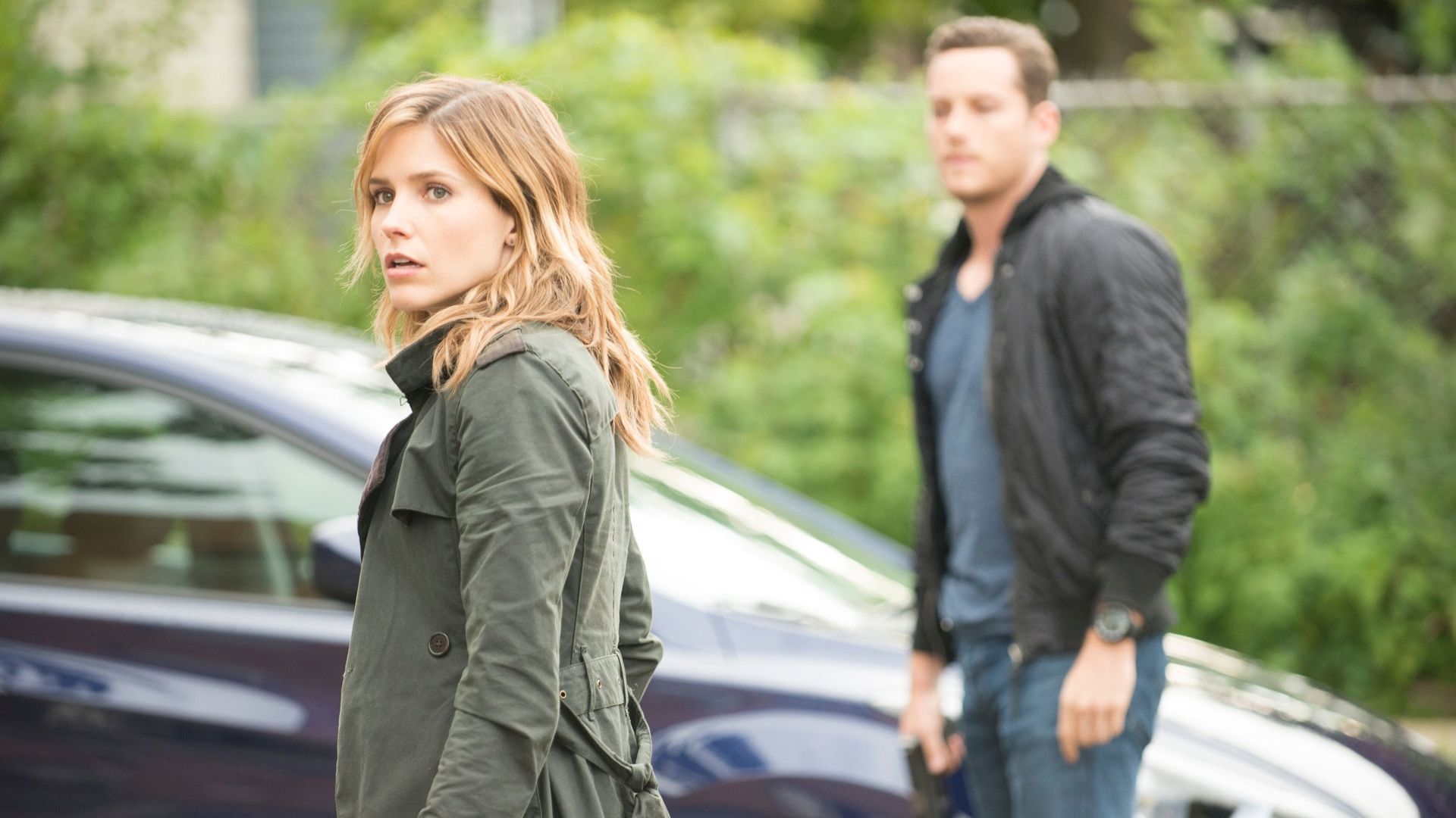 Chicago P.D. background