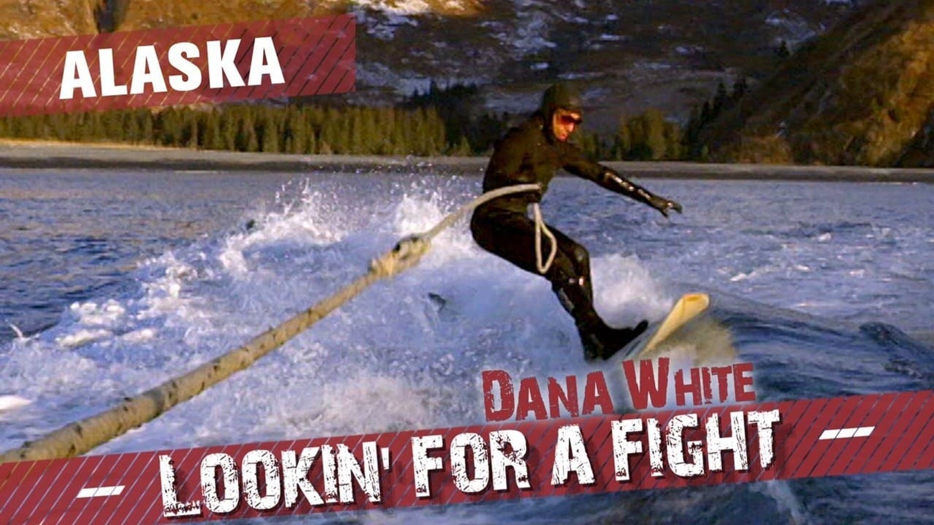 Dana White: Lookin' for a Fight background