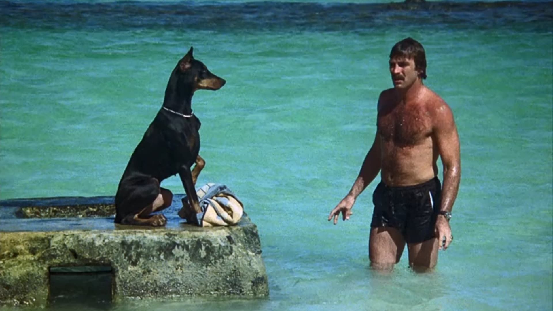 Magnum, P.I. background