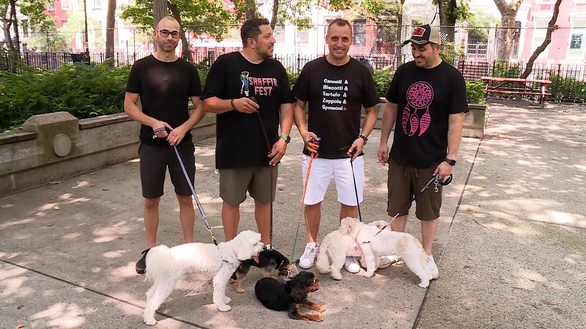 Impractical Jokers background