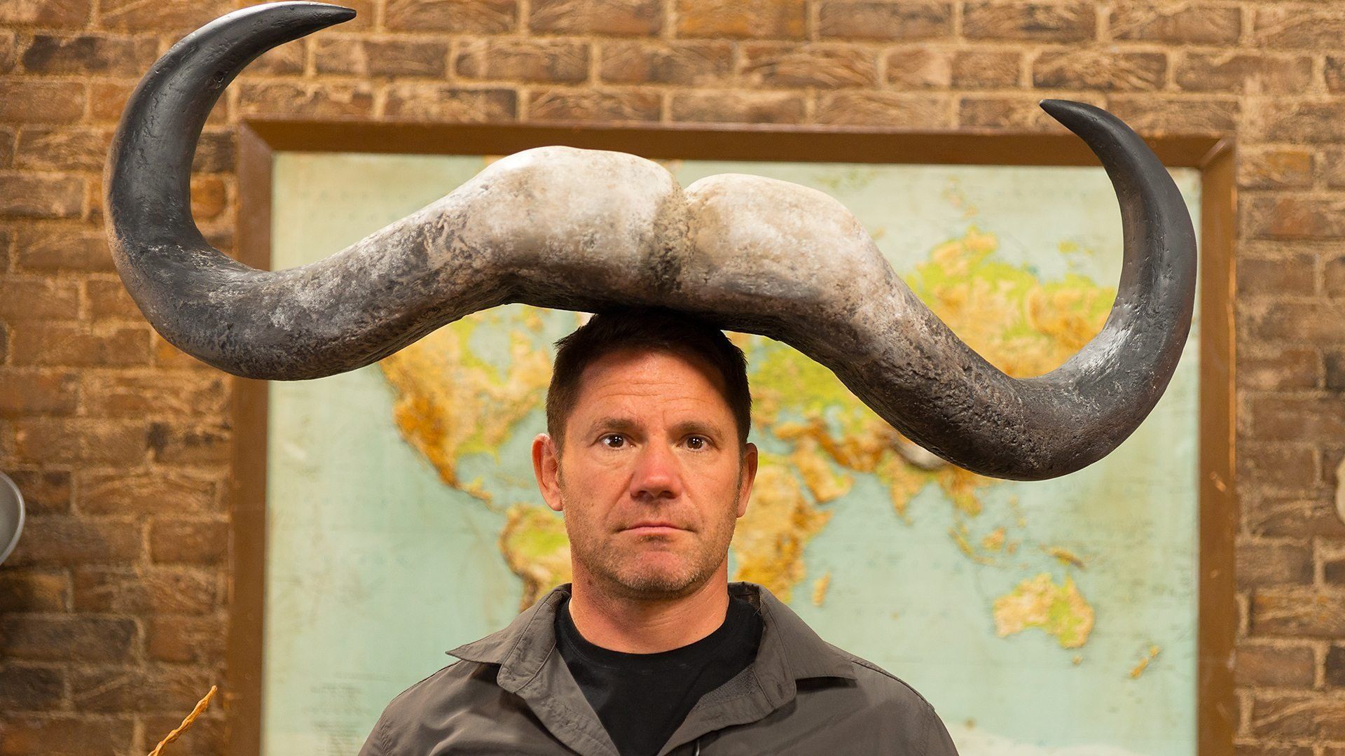Deadly Dinosaurs with Steve Backshall background