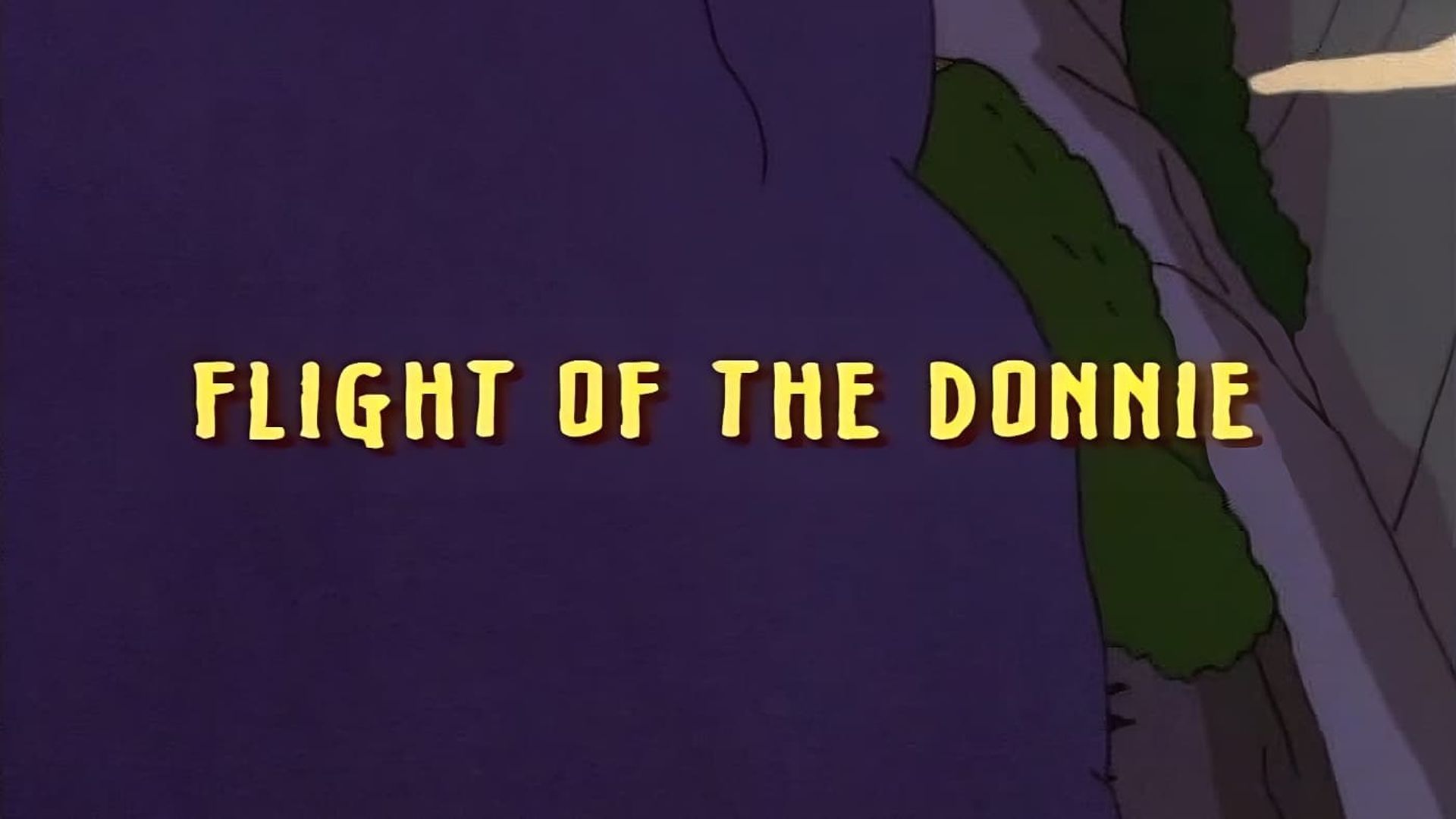 The Wild Thornberrys background