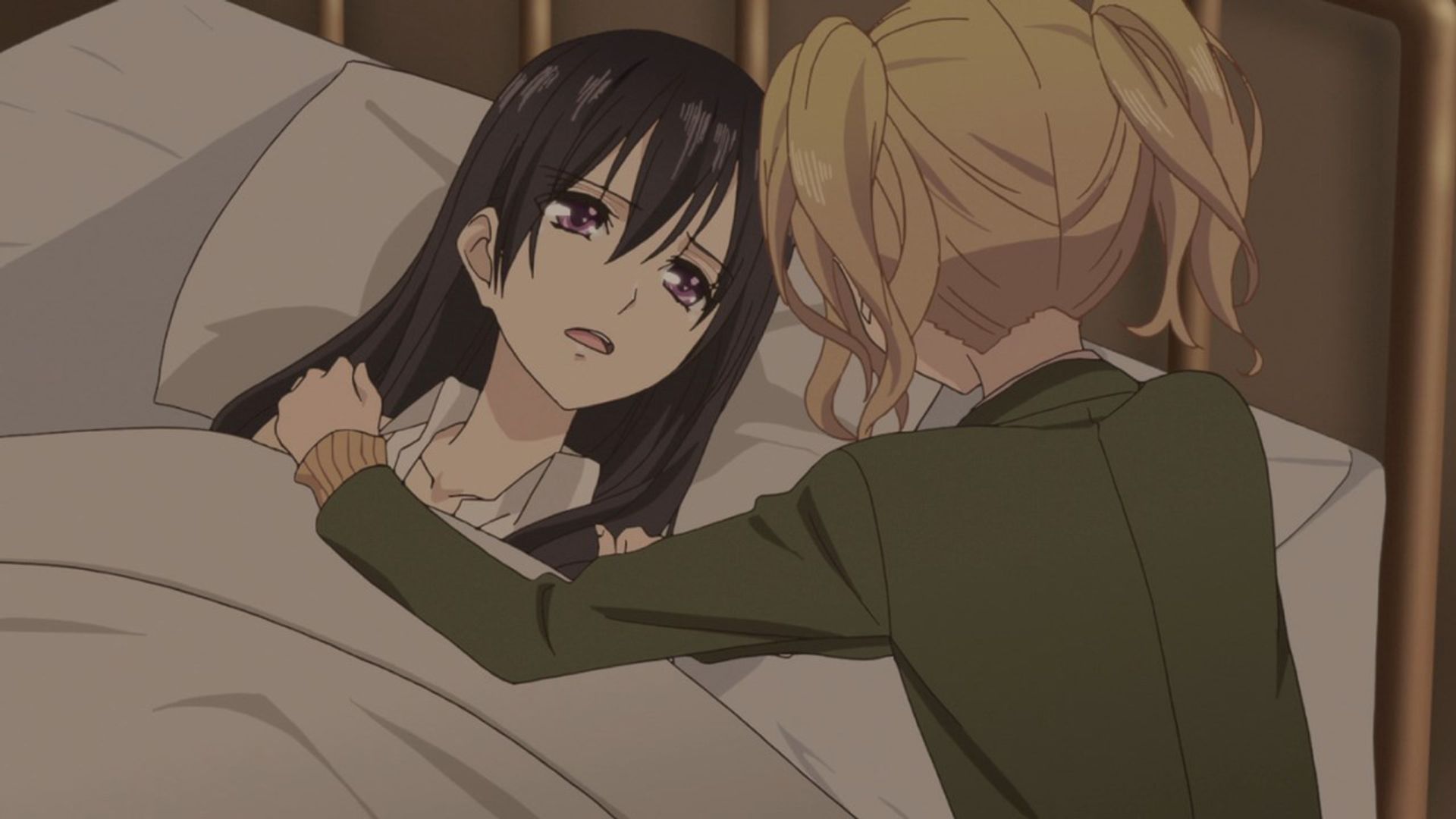 Citrus background
