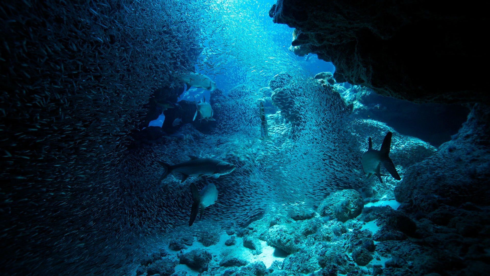Atlantic: The Wildest Ocean on Earth background