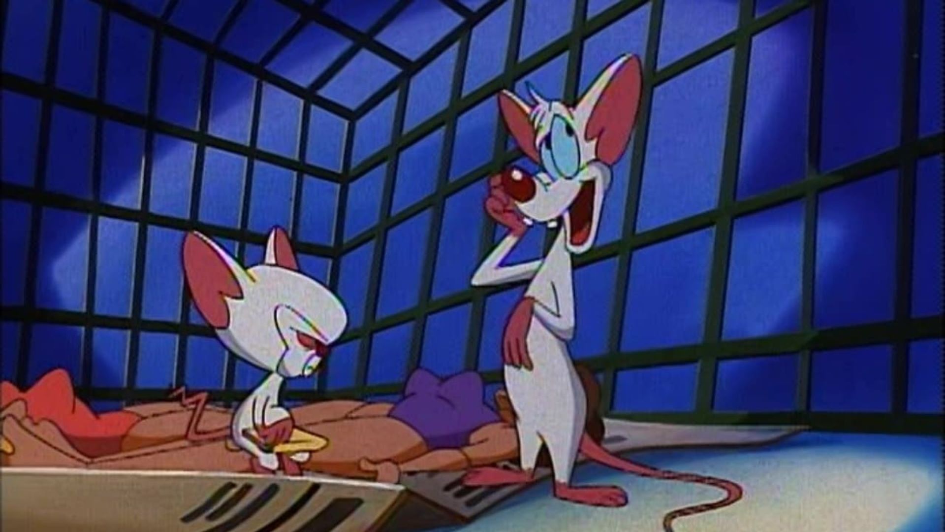 Pinky and the Brain background
