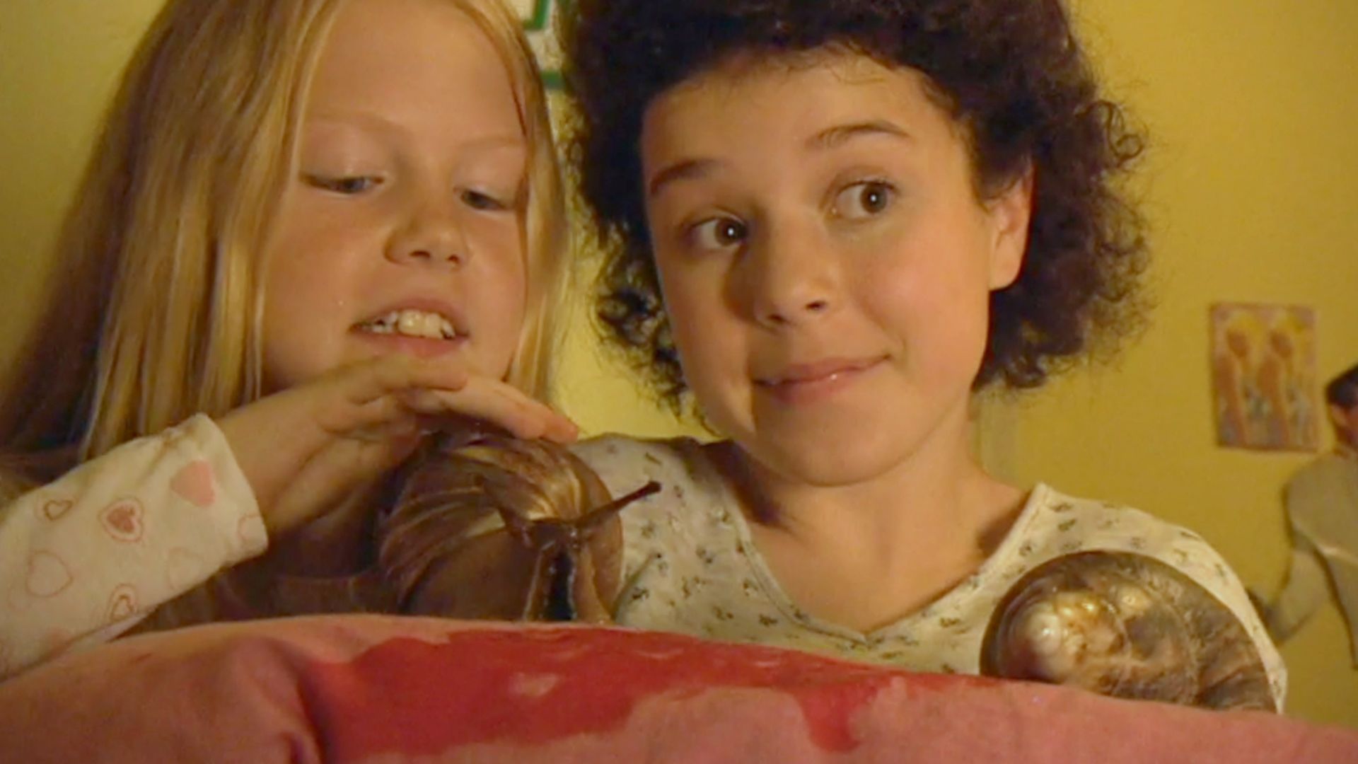 The Story of Tracy Beaker background