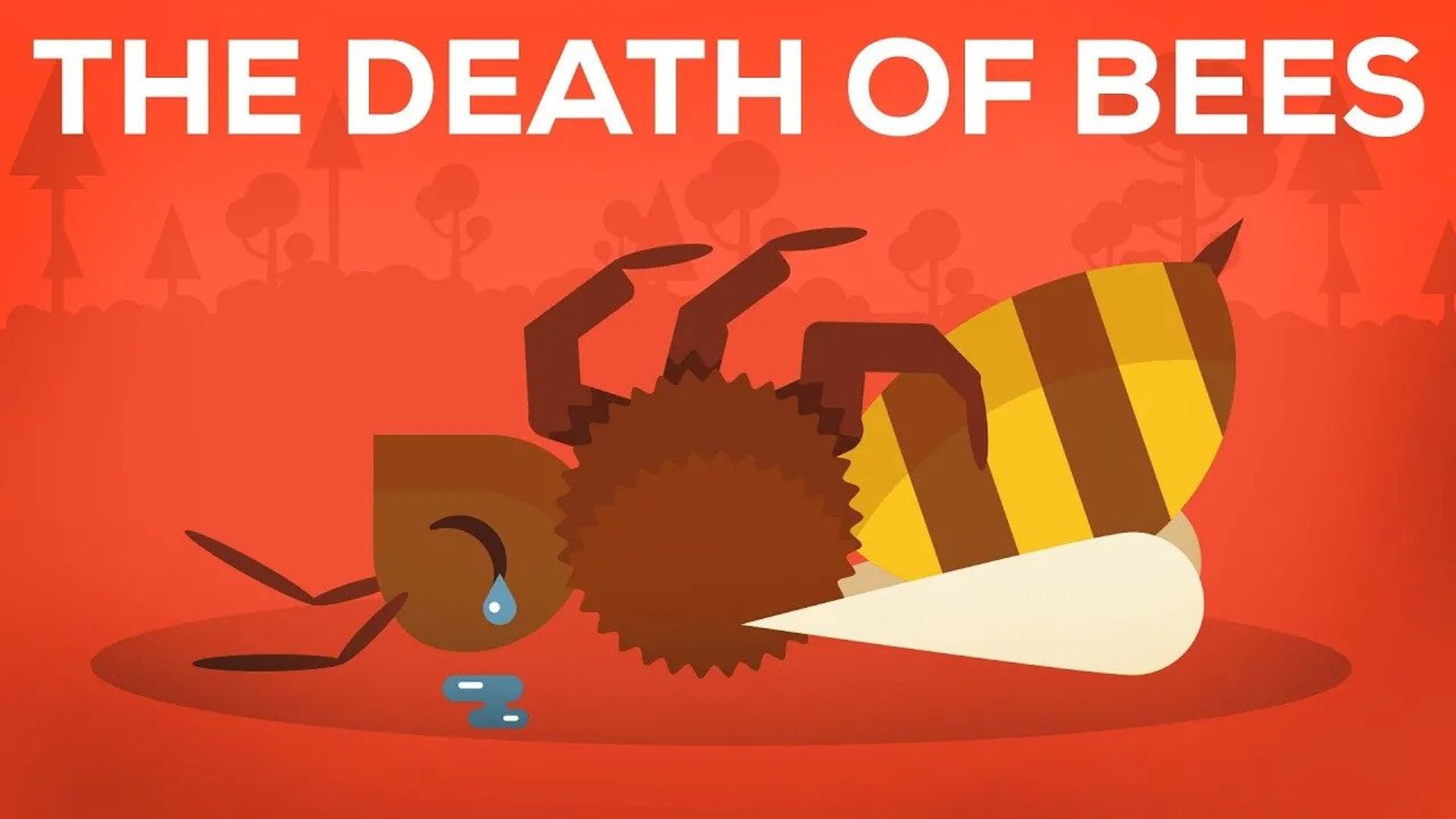 Kurzgesagt: In a Nutshell background