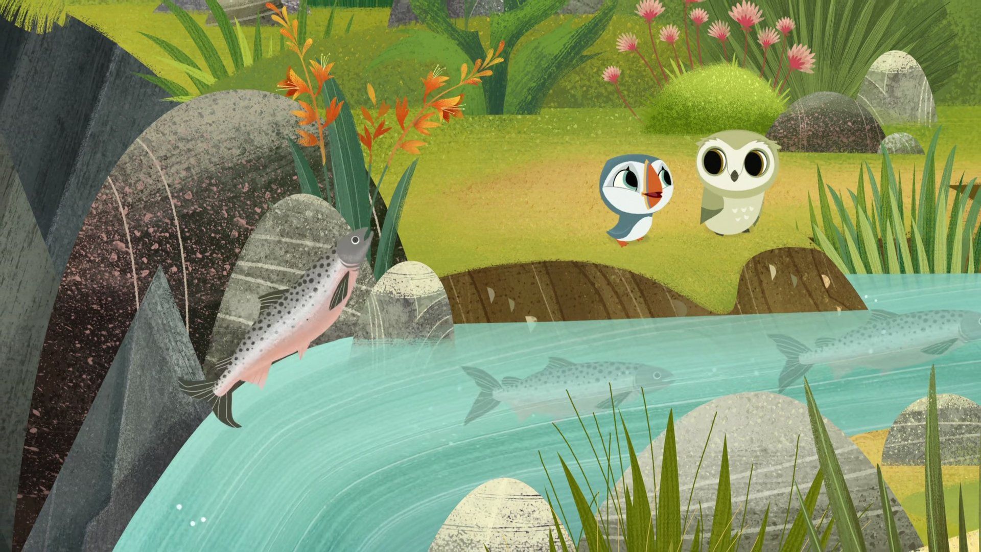 Puffin Rock background