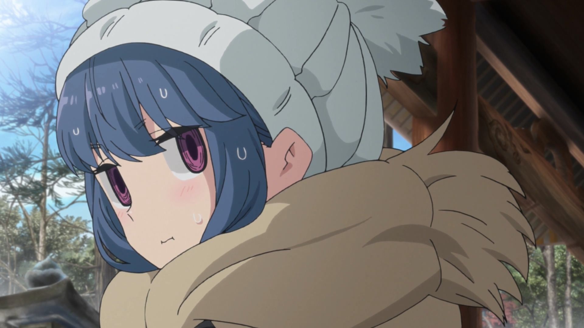 Laid-Back Camp background