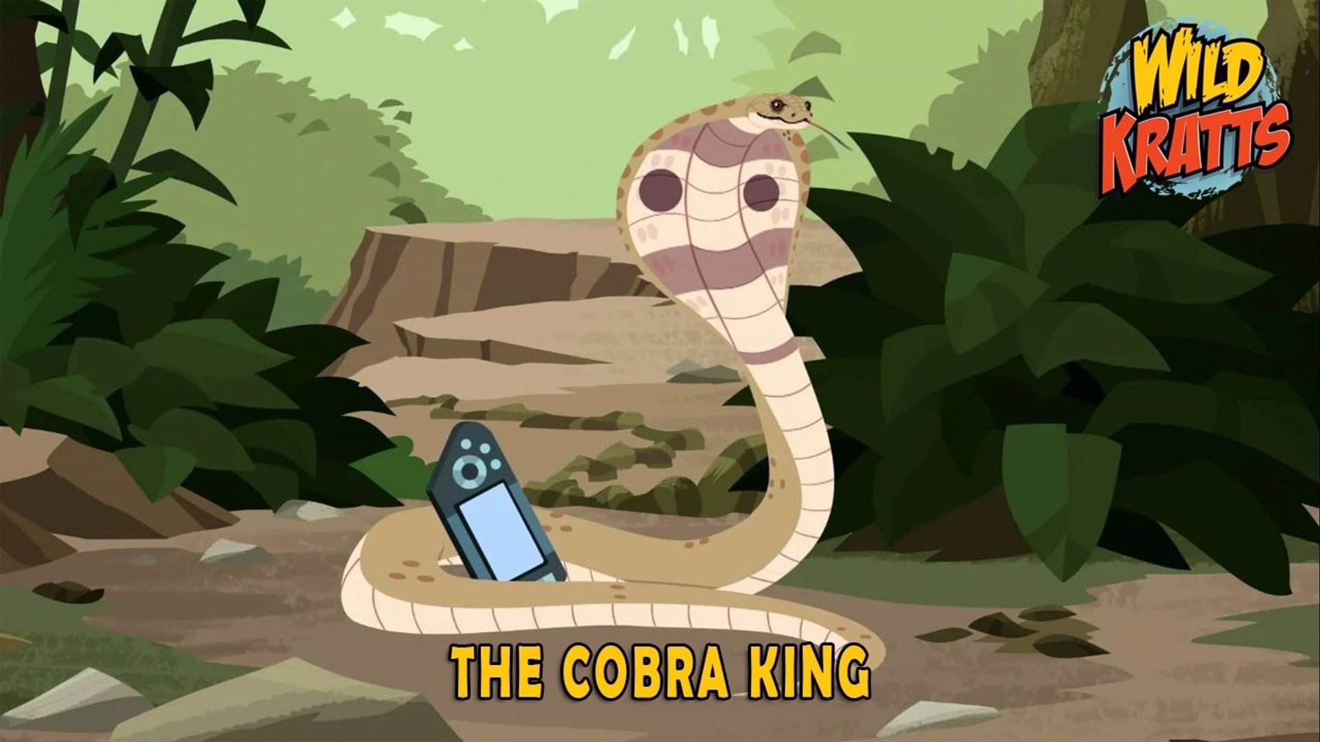 Wild Kratts background