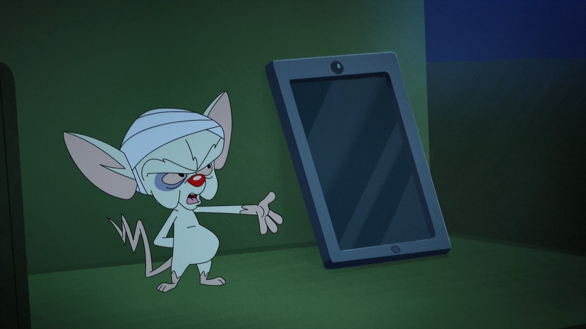 Animaniacs background