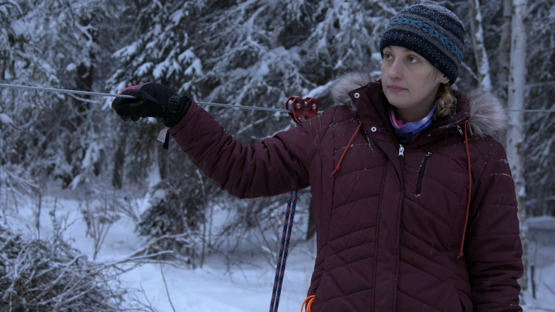 Life Below Zero: Next Generation background