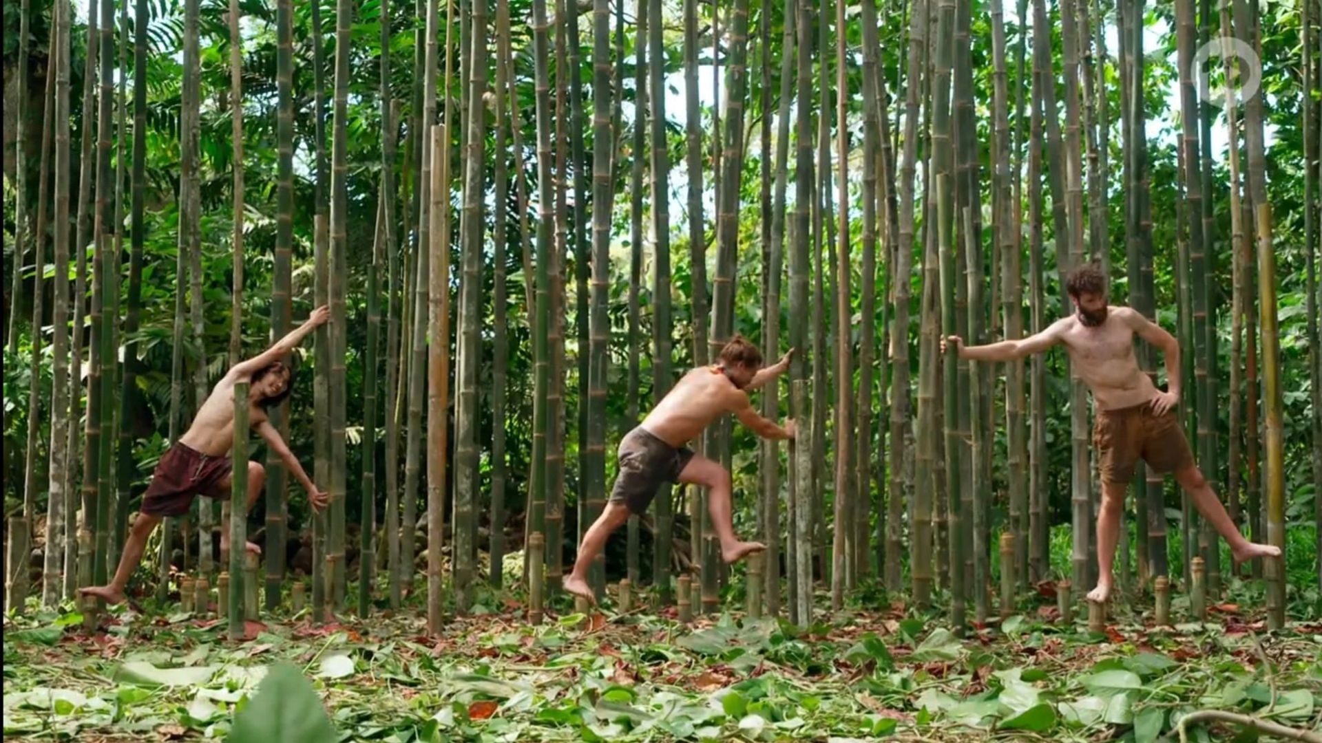 Australian Survivor background