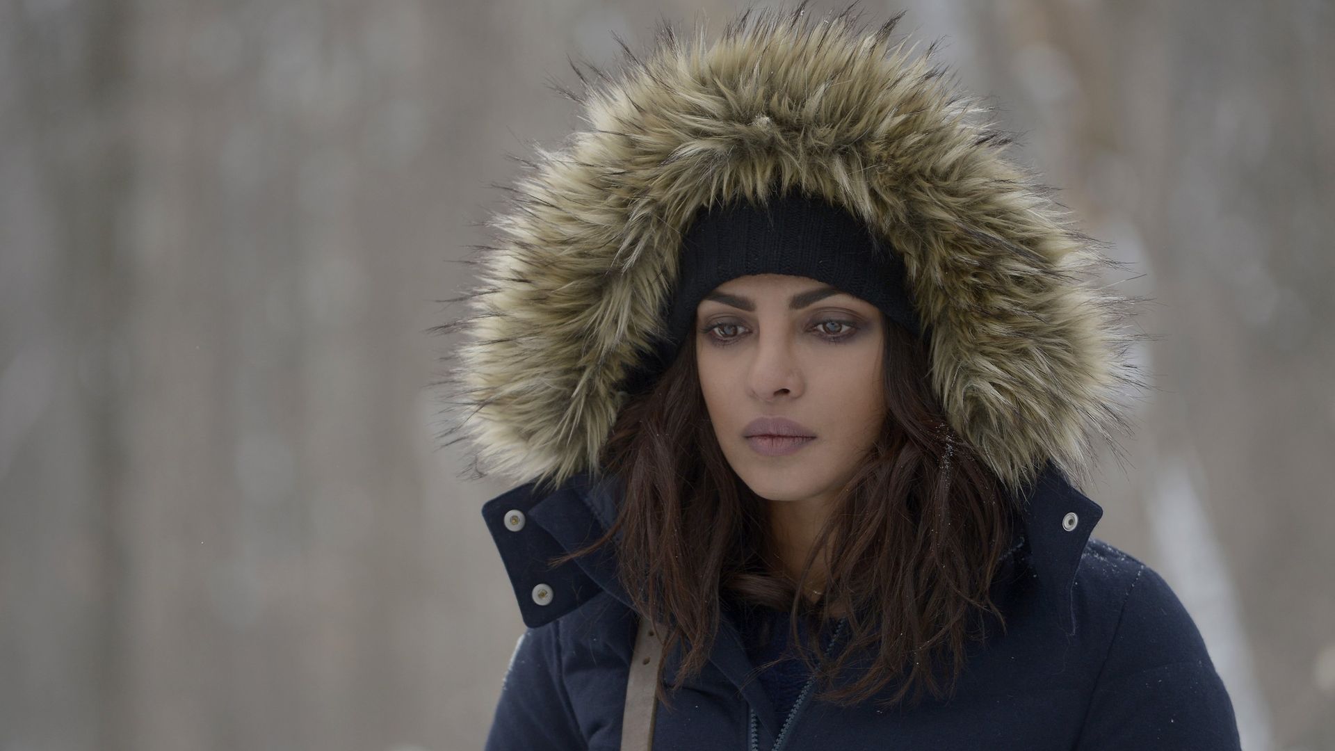 Quantico background